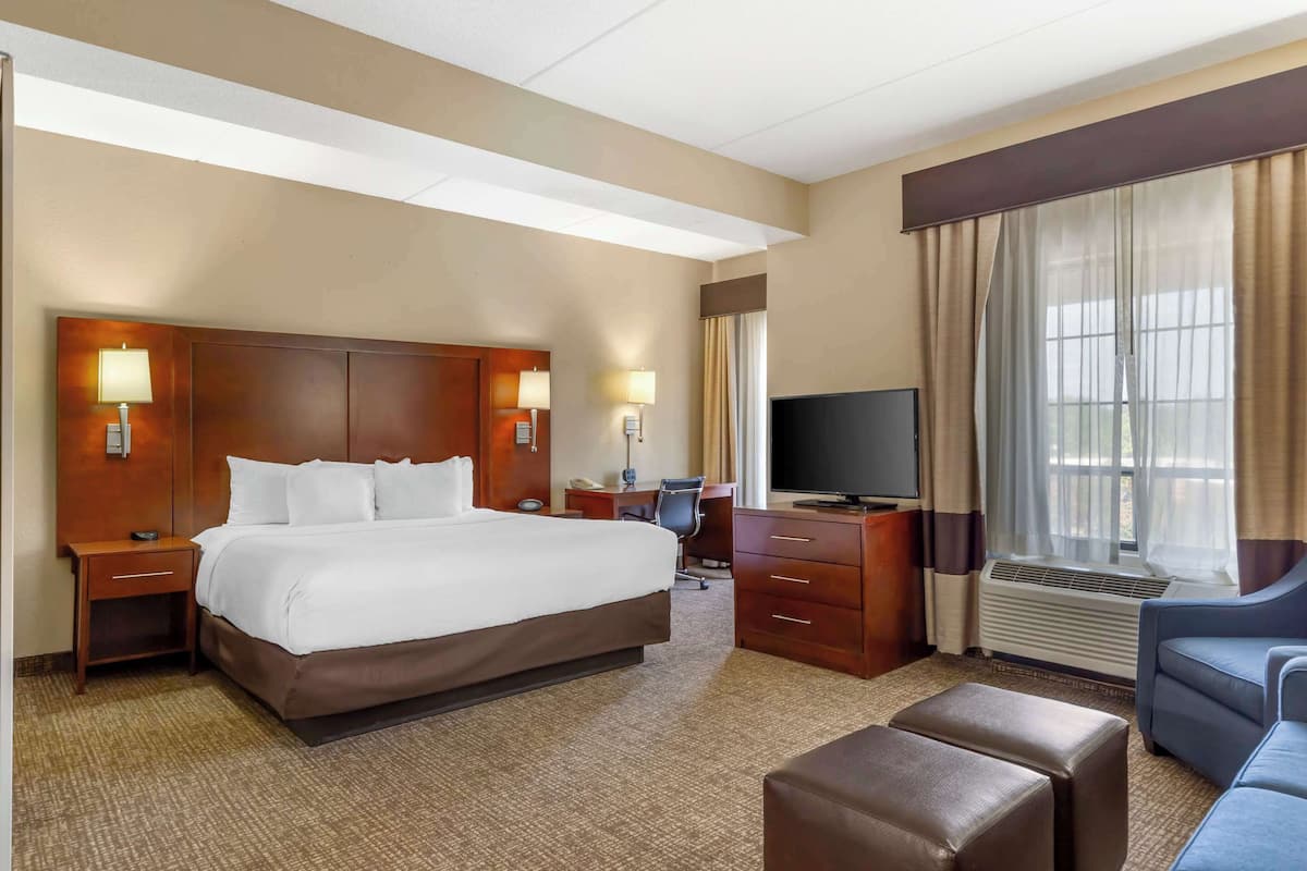 Junior Suite, 1 King Bed with Sofa bed, Non Smoking | Premium bedding, pillowtop beds, individually decorated