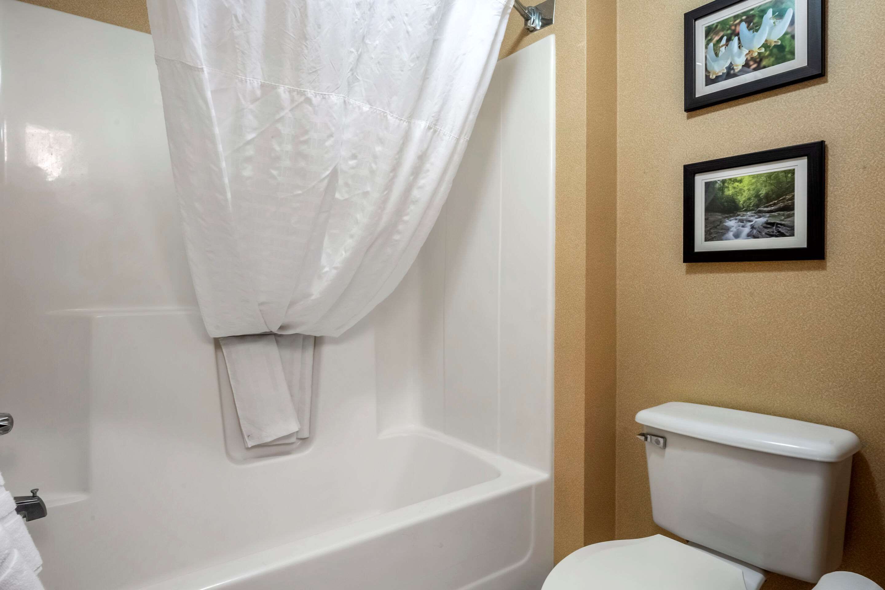 A bathroom with a bathtub, toilet, and two framed pictures on the wall.