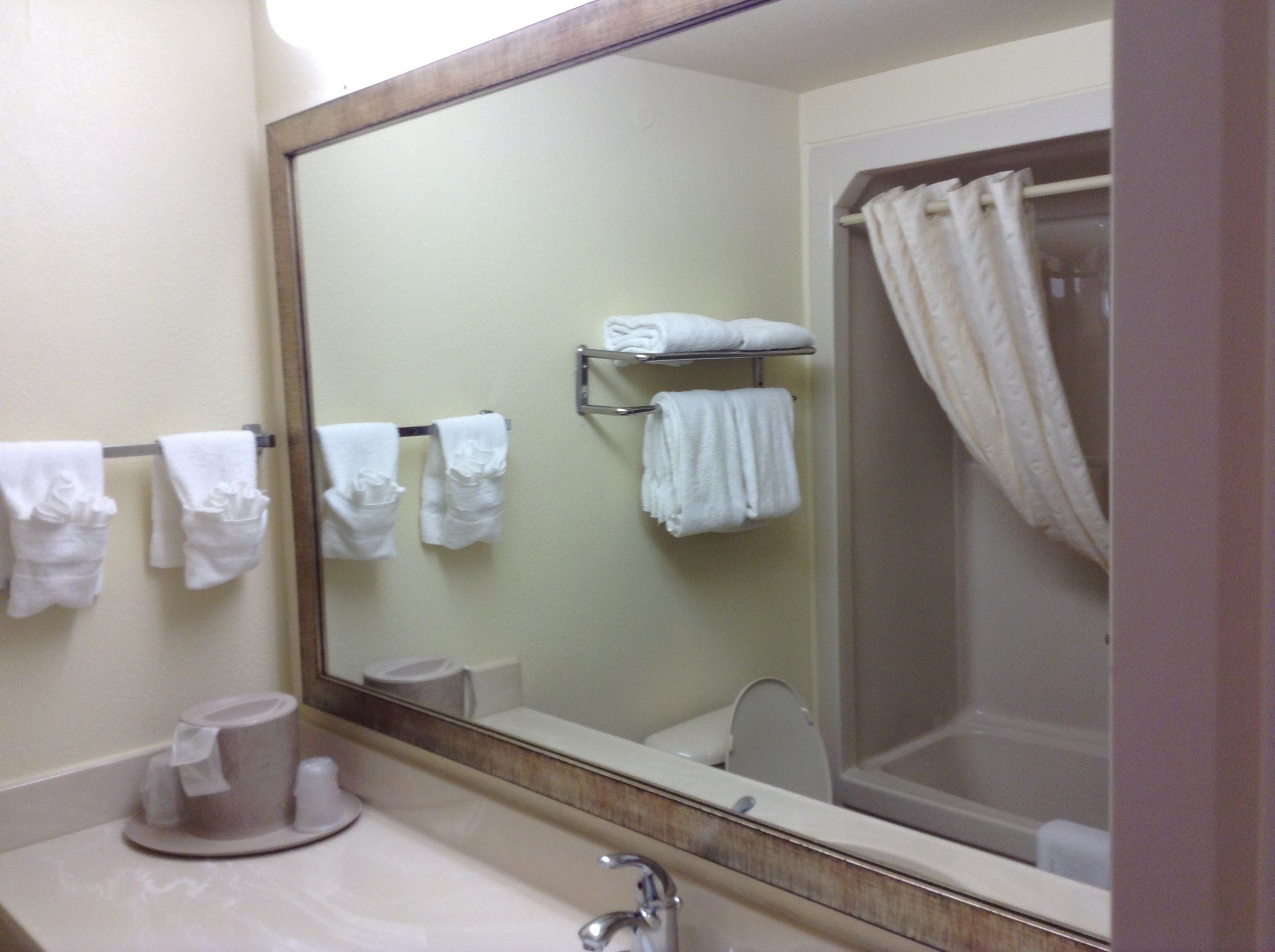 A bathroom with a large mirror, a sink, a toilet, and a shower area.