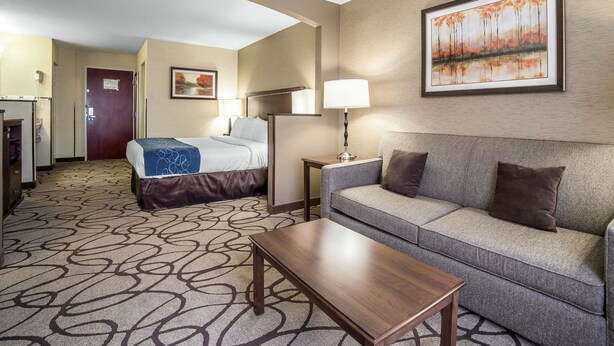 Une chambre d’hôtel avec un lit, un canapé, une table basse, un bureau et un tableau au mur.