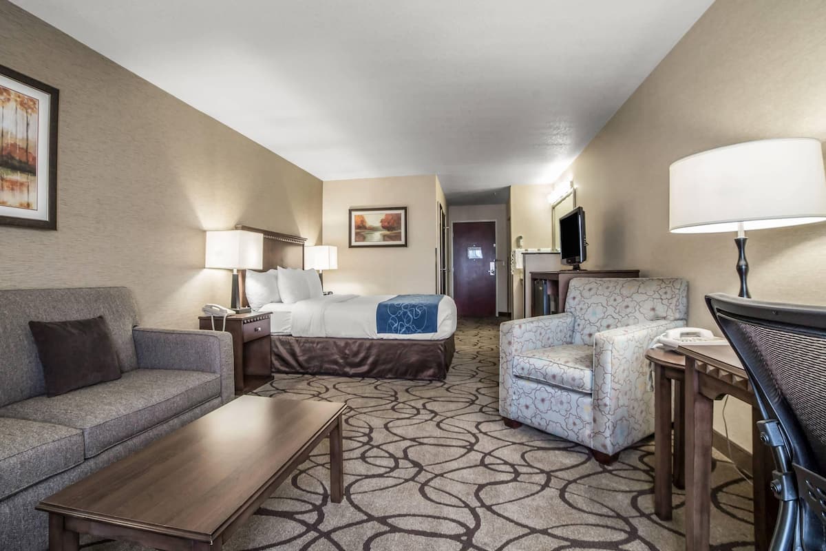 A hotel room with a sofa, a bed with a blue accent, a patterned carpet, a desk, and a chair.
