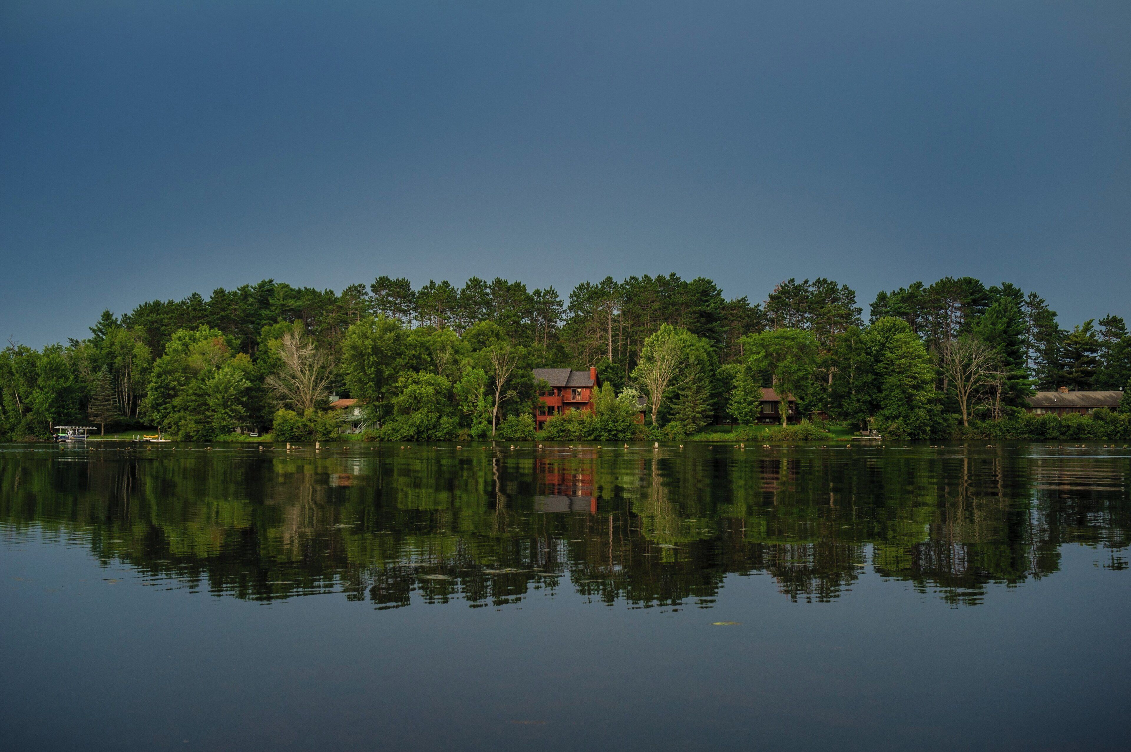 A lakeside property with a house surrounded by dense trees.