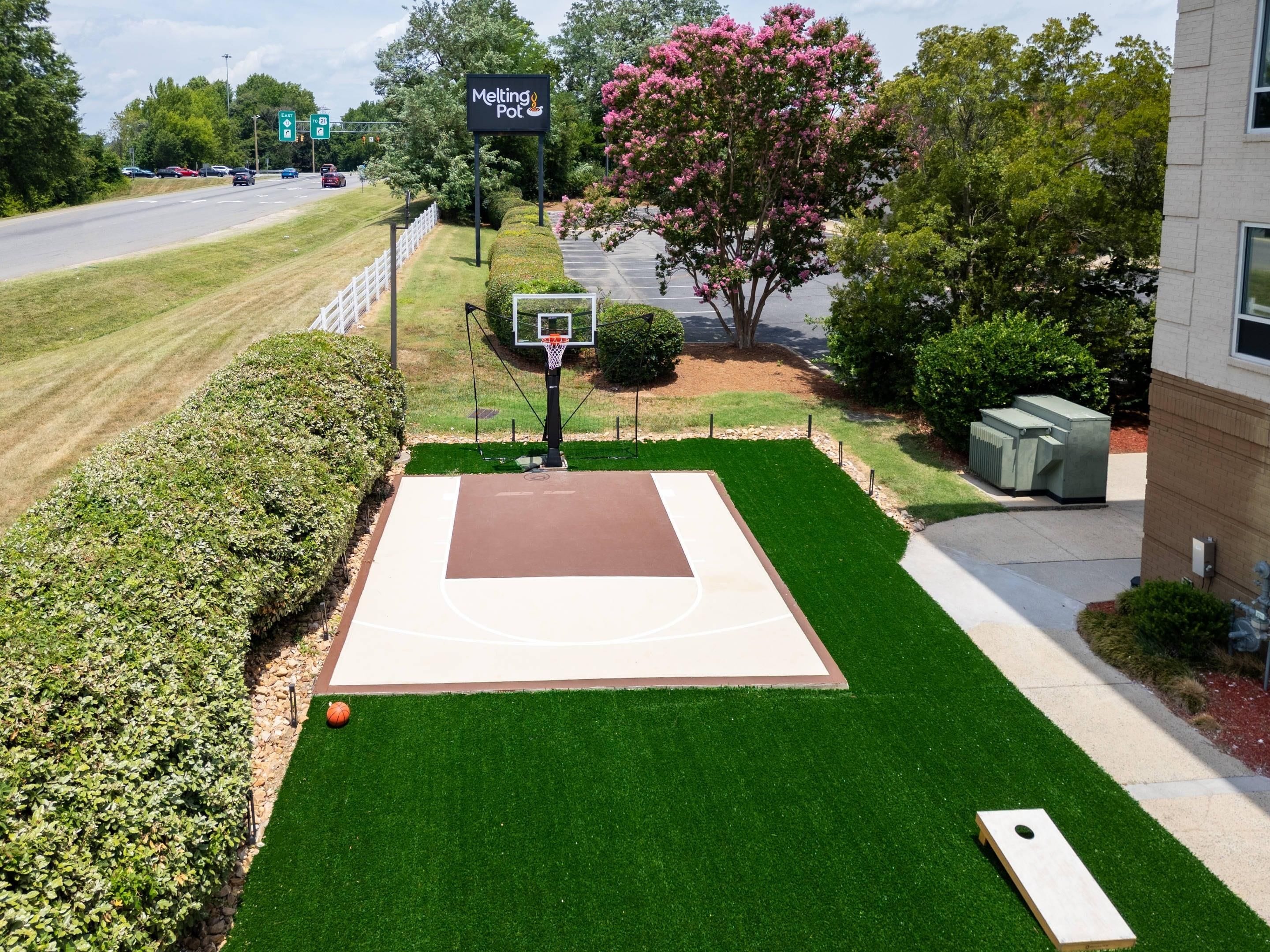 A basketball court with a hoop, a tree with pink flowers, and a building in the background.