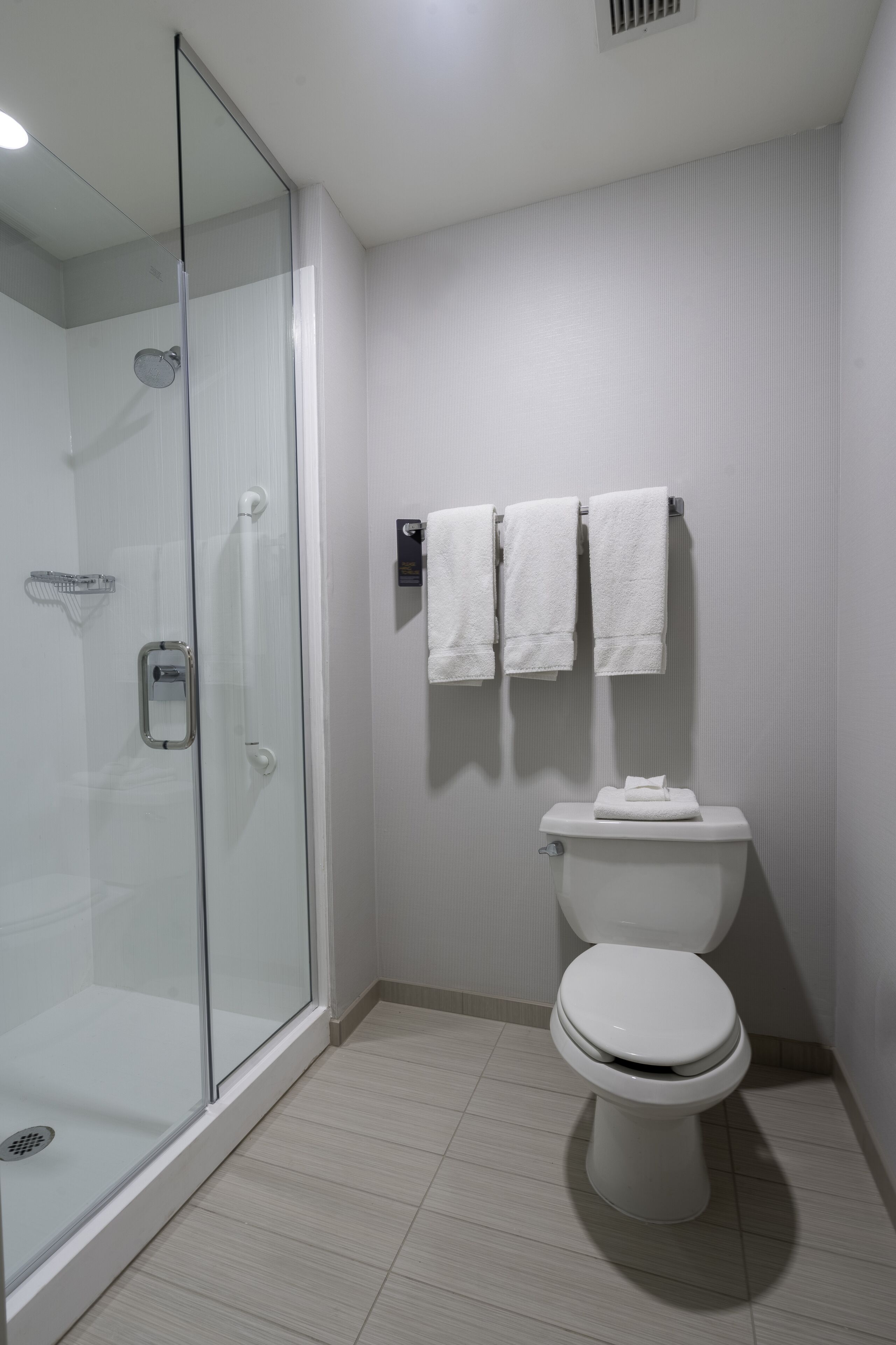 A bathroom with a glass-enclosed shower, a toilet, and two towels hanging on a rack.