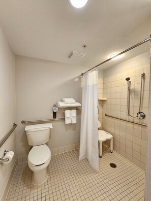 Room, 1 King Bed with Sofa bed (Mobility/Hearing Access, Roll-In Shwr) | Bathroom