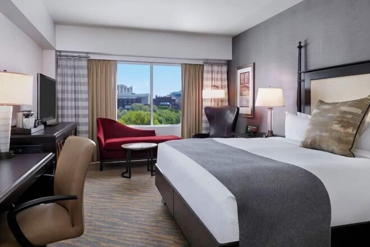 1 bedroom, Egyptian cotton sheets, premium bedding, down comforters