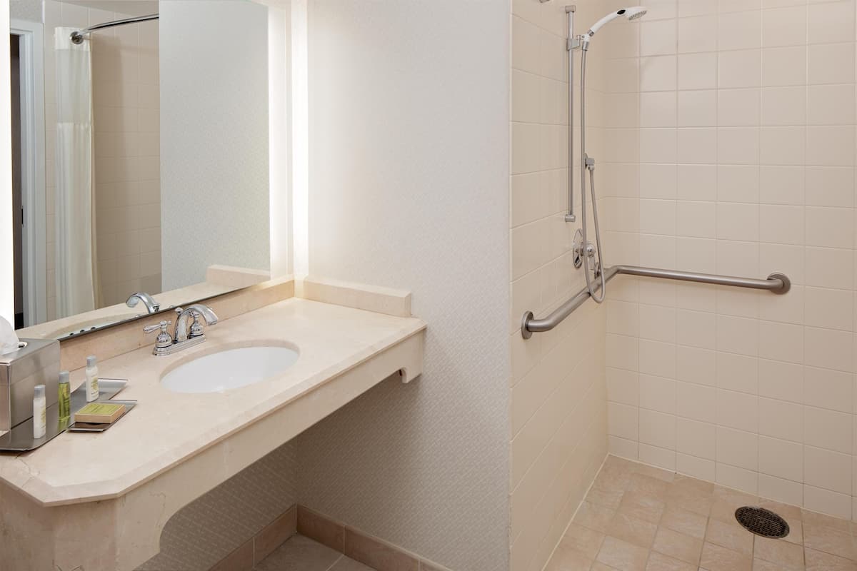 Deluxe Room, 1 King Bed, Accessible (Roll-In Shower) | Bathroom shower