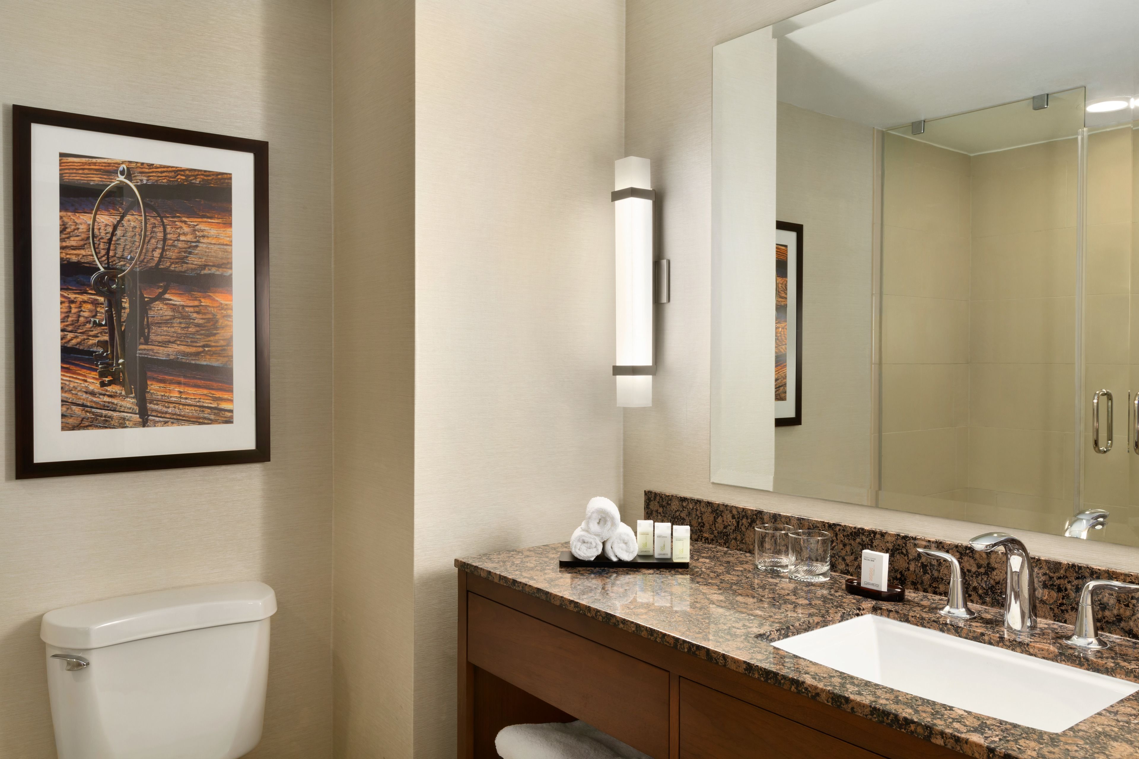 combined shower/bathtub, free toiletries, hair dryer, towels