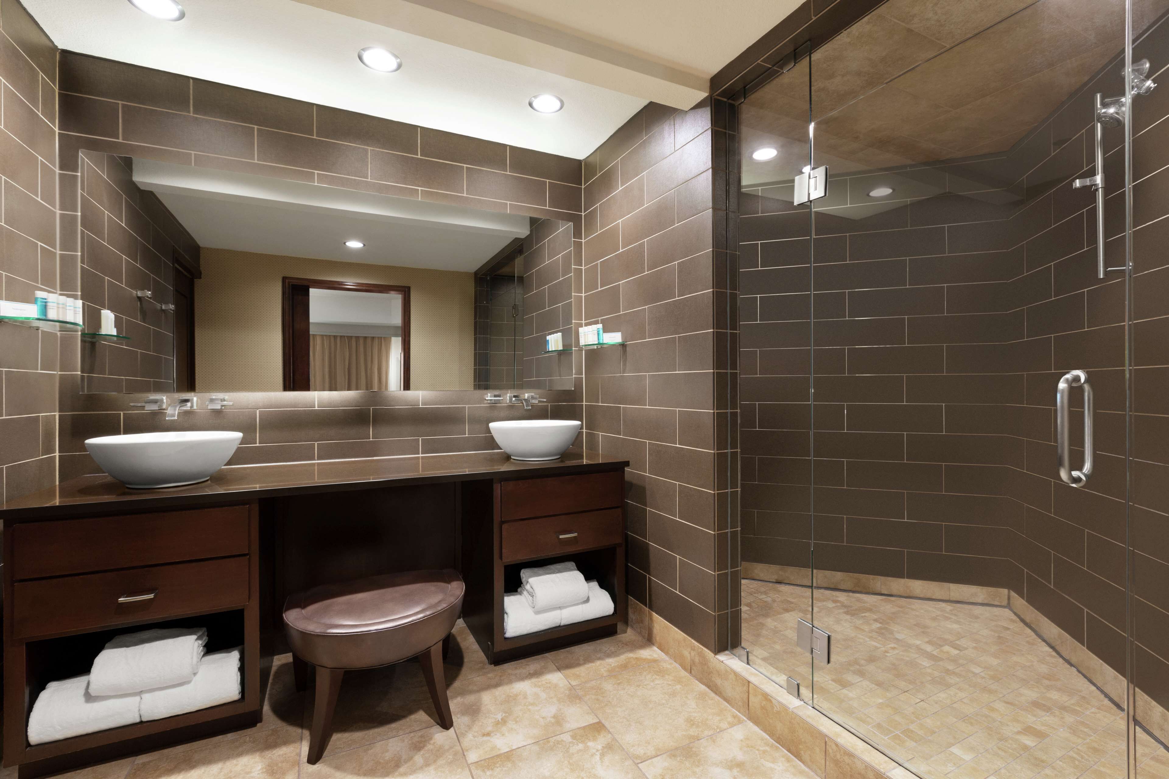 presidential suite | bathroom shower