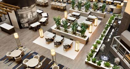 Embassy Suites by Hilton Dallas DFW Airport North