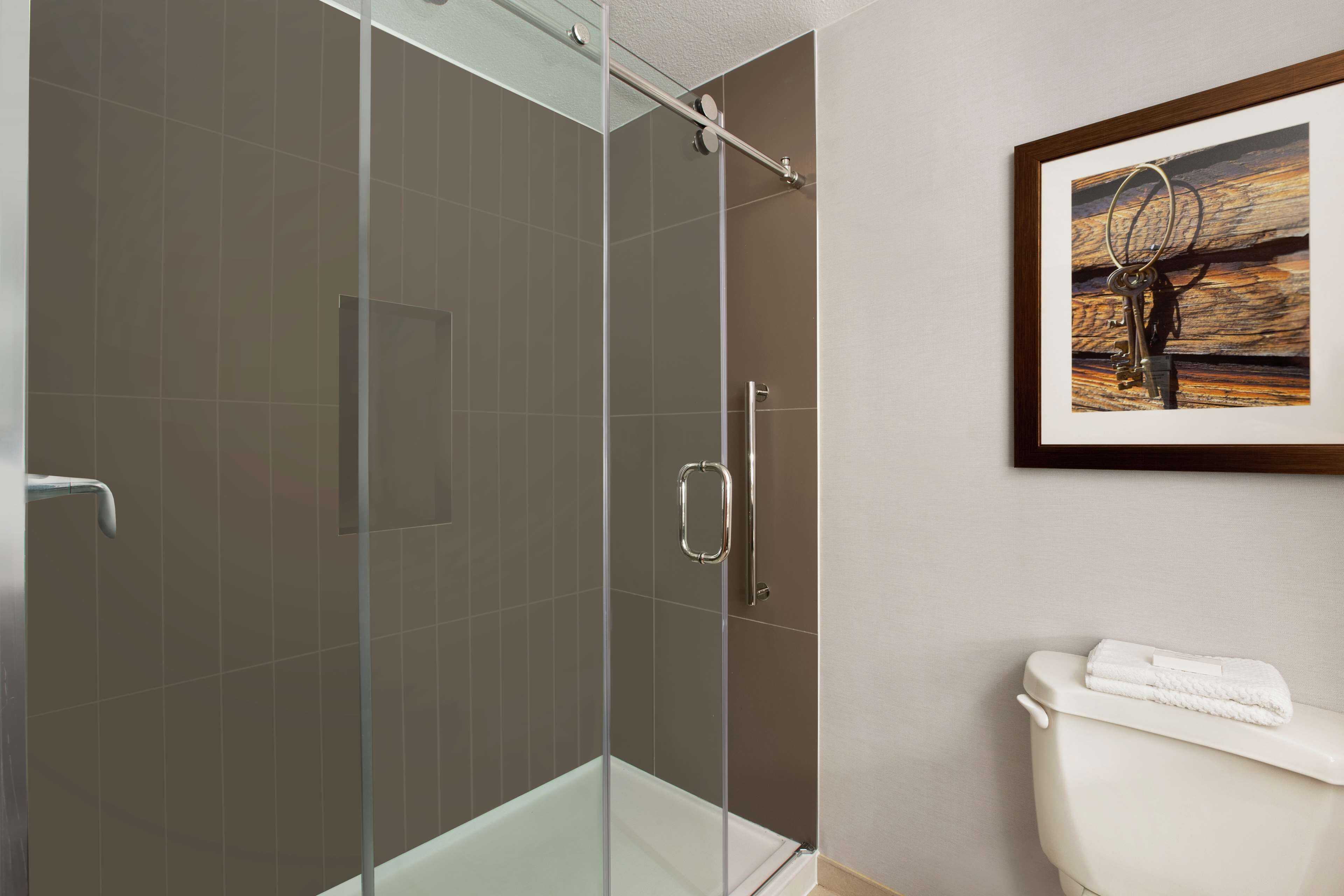 A bathroom with a glass-enclosed shower, a white toilet, and a framed picture on the wall.