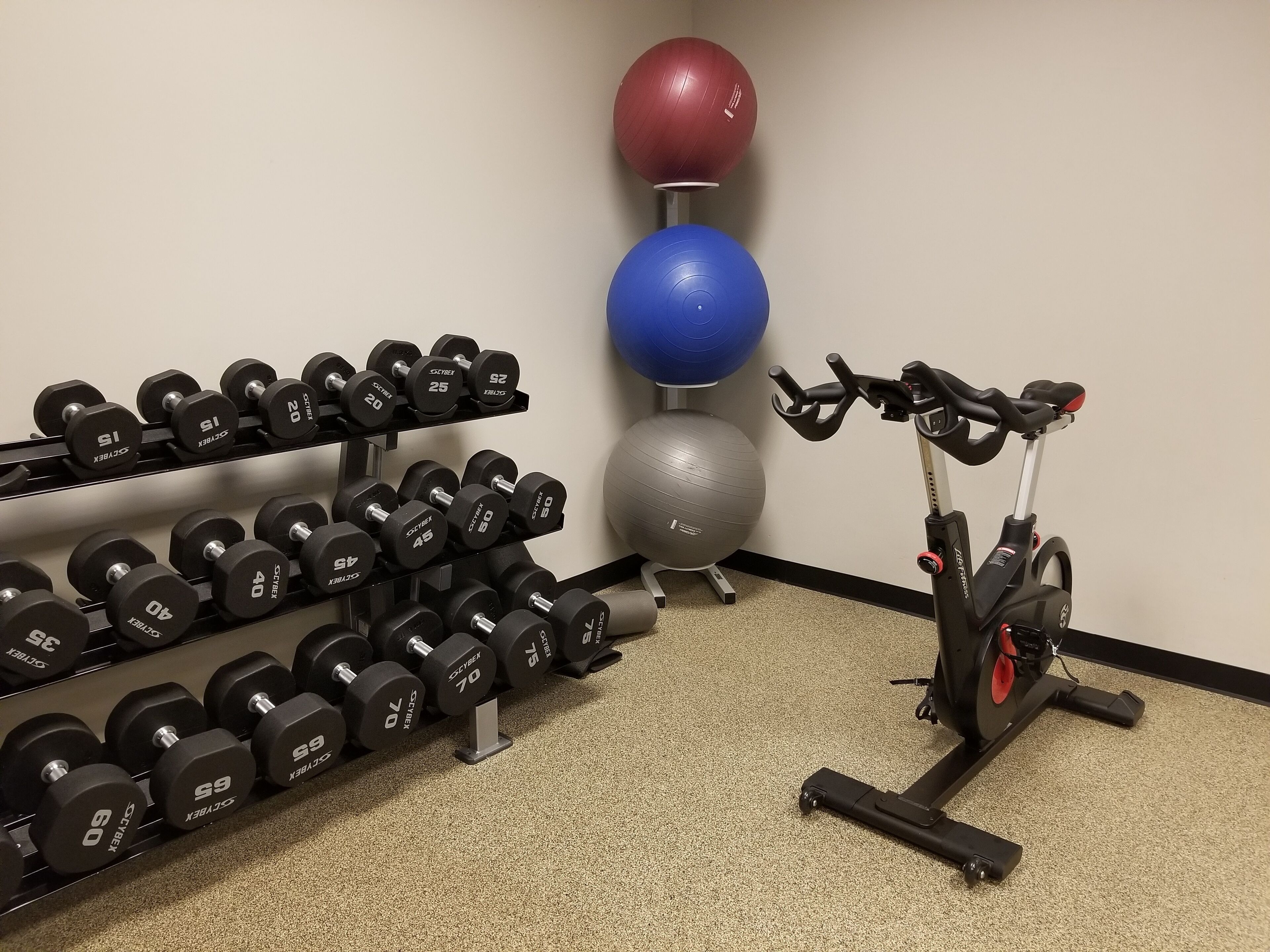 Une salle de sport équipée d’un porte-haltères fixé au mur, d’un vélo d’appartement et d’une pile de ballons d’exercice.
