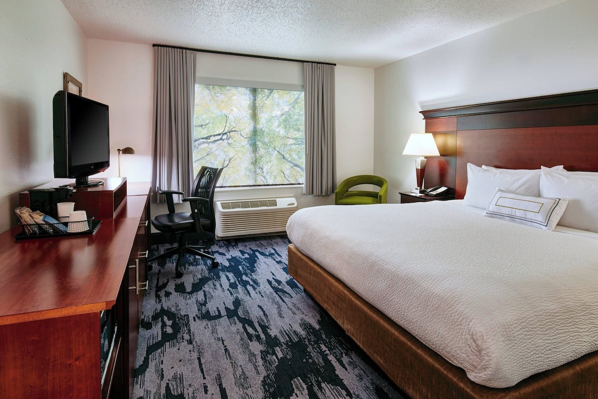 A hotel room with a large bed, a desk with a television, a chair, a lamp, and a view of trees through the window.