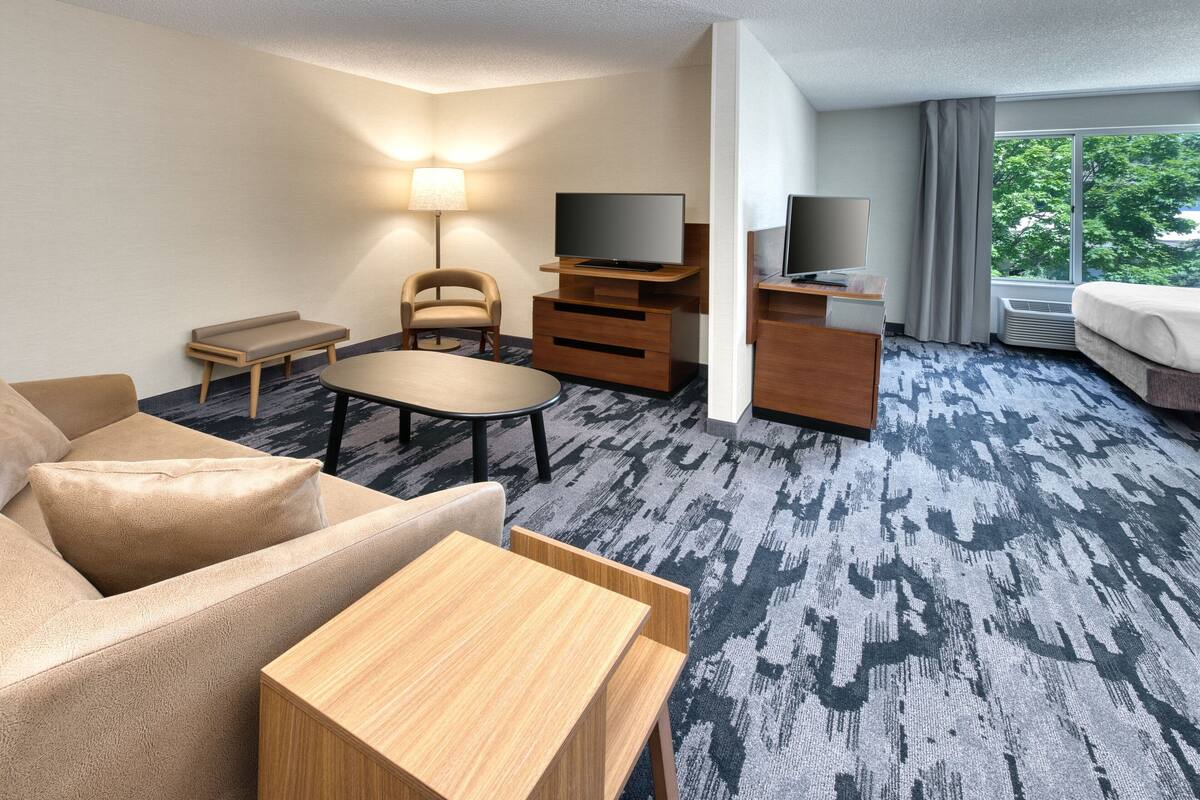 A hotel room with a sofa, a small table, a chair, a TV, a dresser, and a large window with a view of trees.