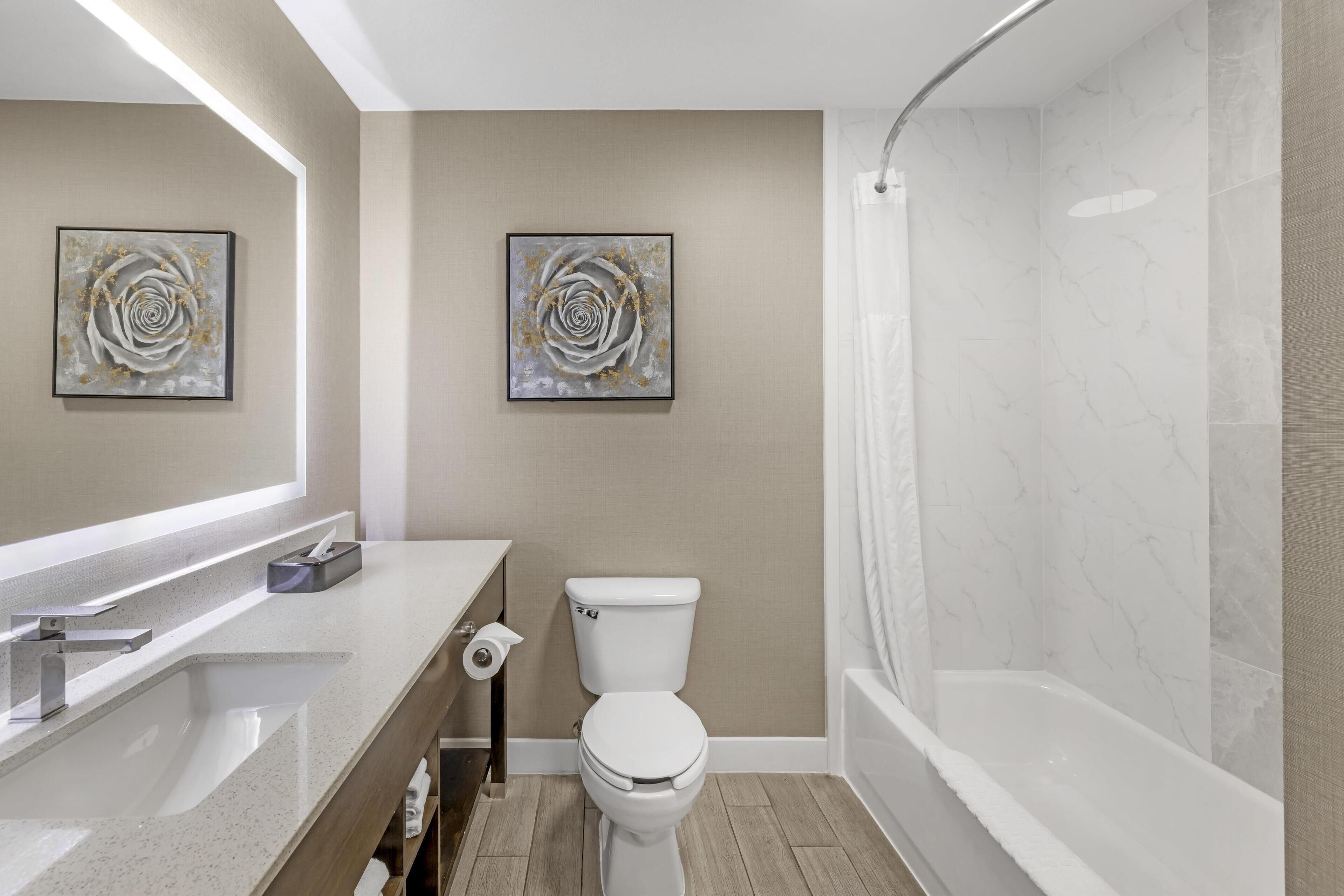 combined shower/bathtub, free toiletries, hair dryer, towels