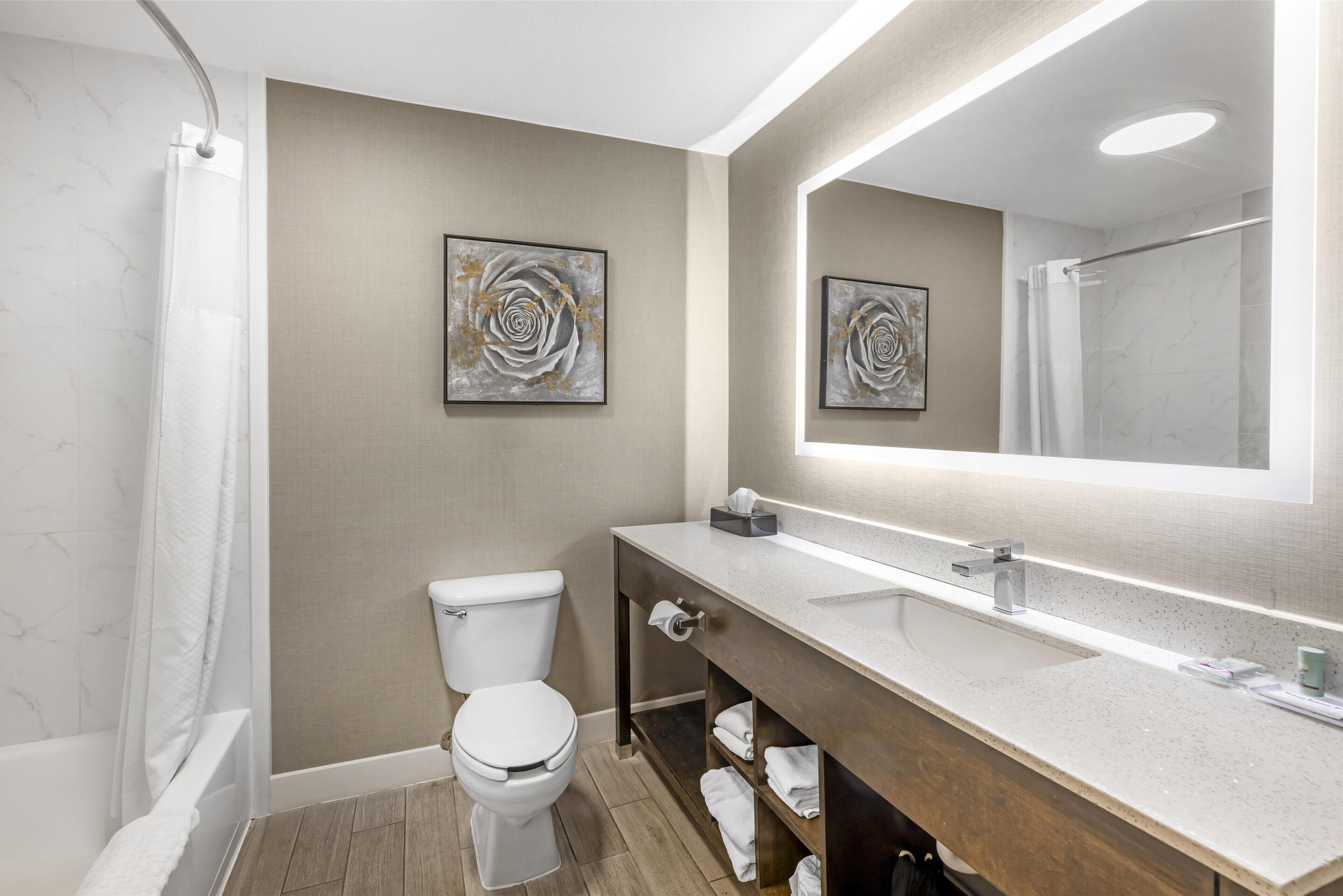 combined shower/bathtub, free toiletries, hair dryer, towels