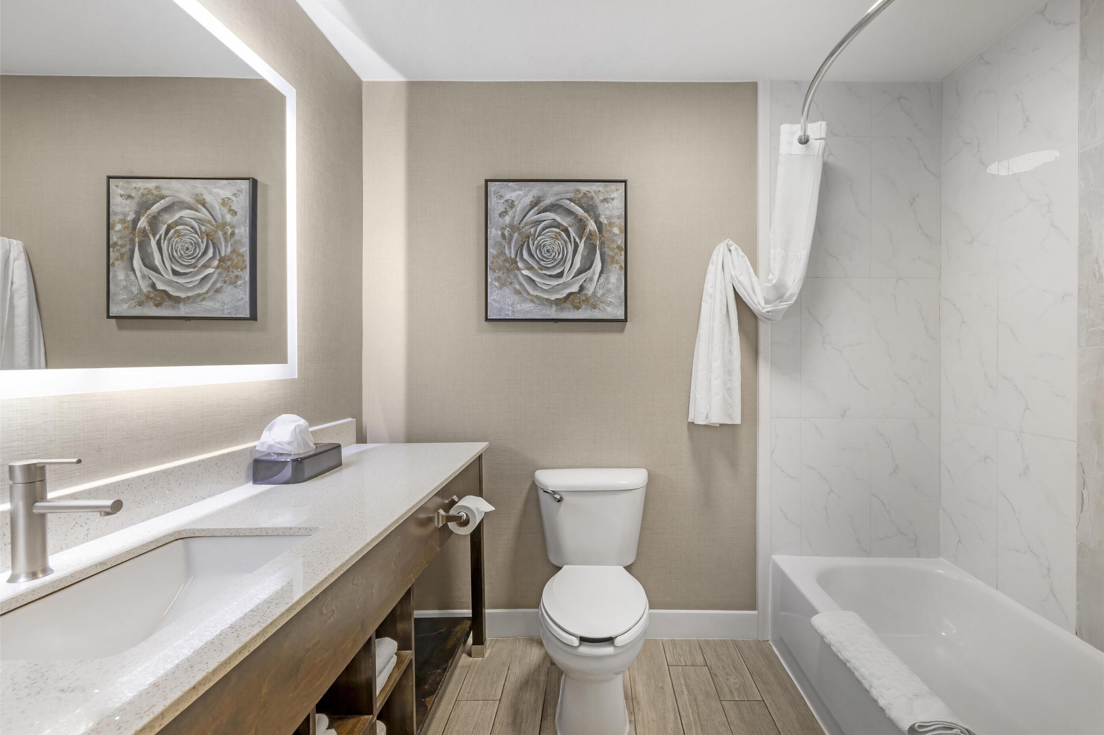 combined shower/bathtub, free toiletries, hair dryer, towels