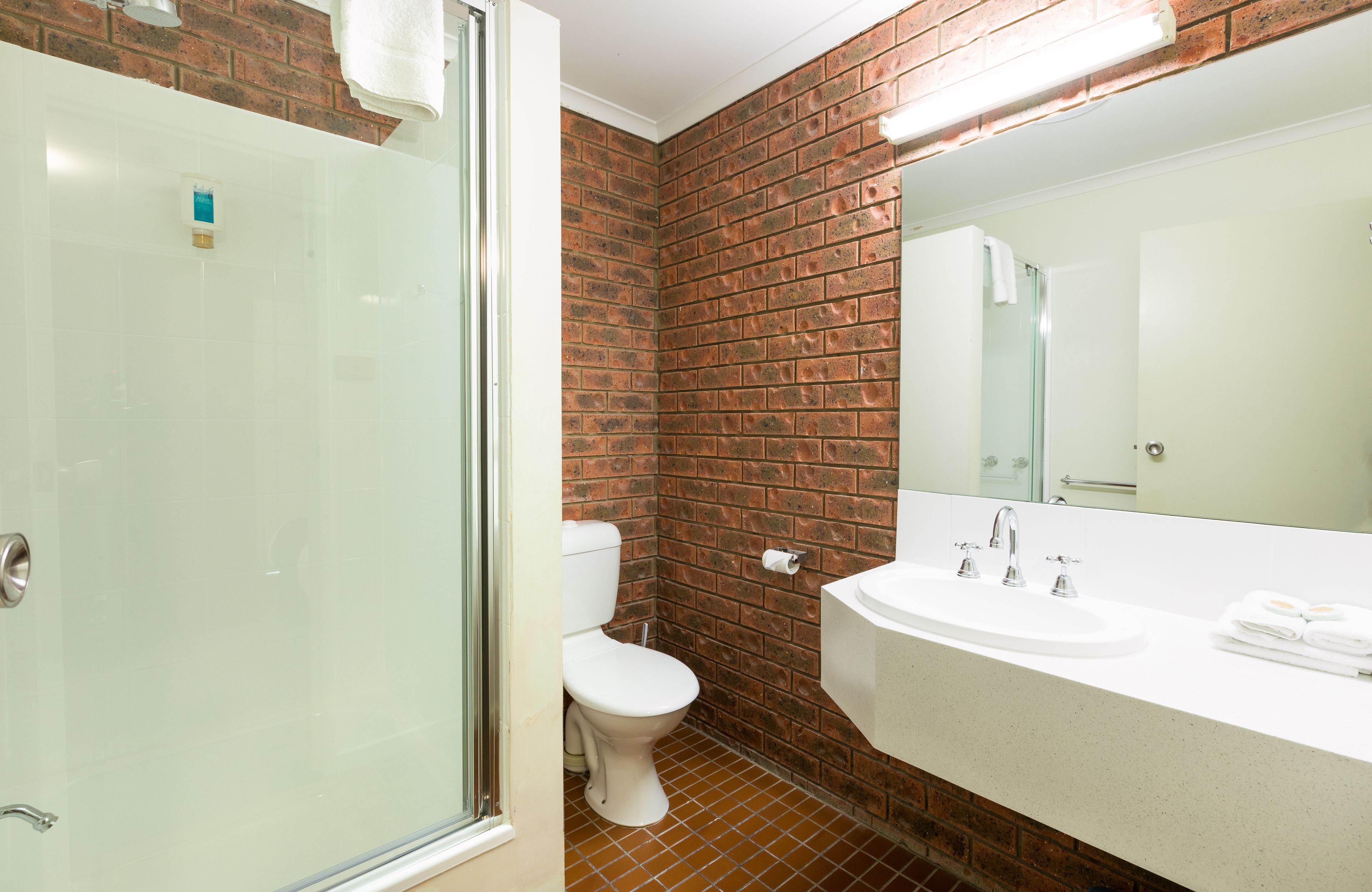 A bathroom with a glass shower enclosure, a toilet, and a sink with a mirror.