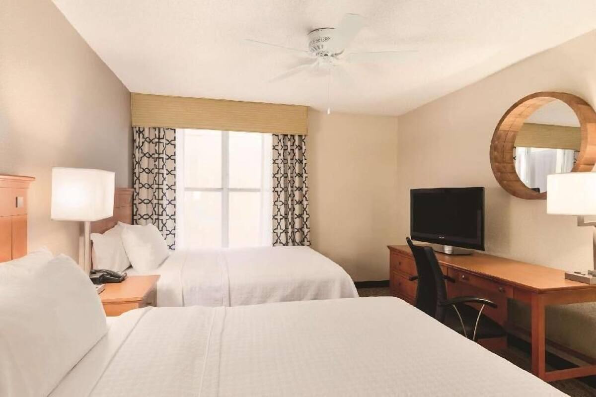 A hotel room with two beds, a desk with a television, a chair, a desk lamp, a telephone, and a ceiling fan.