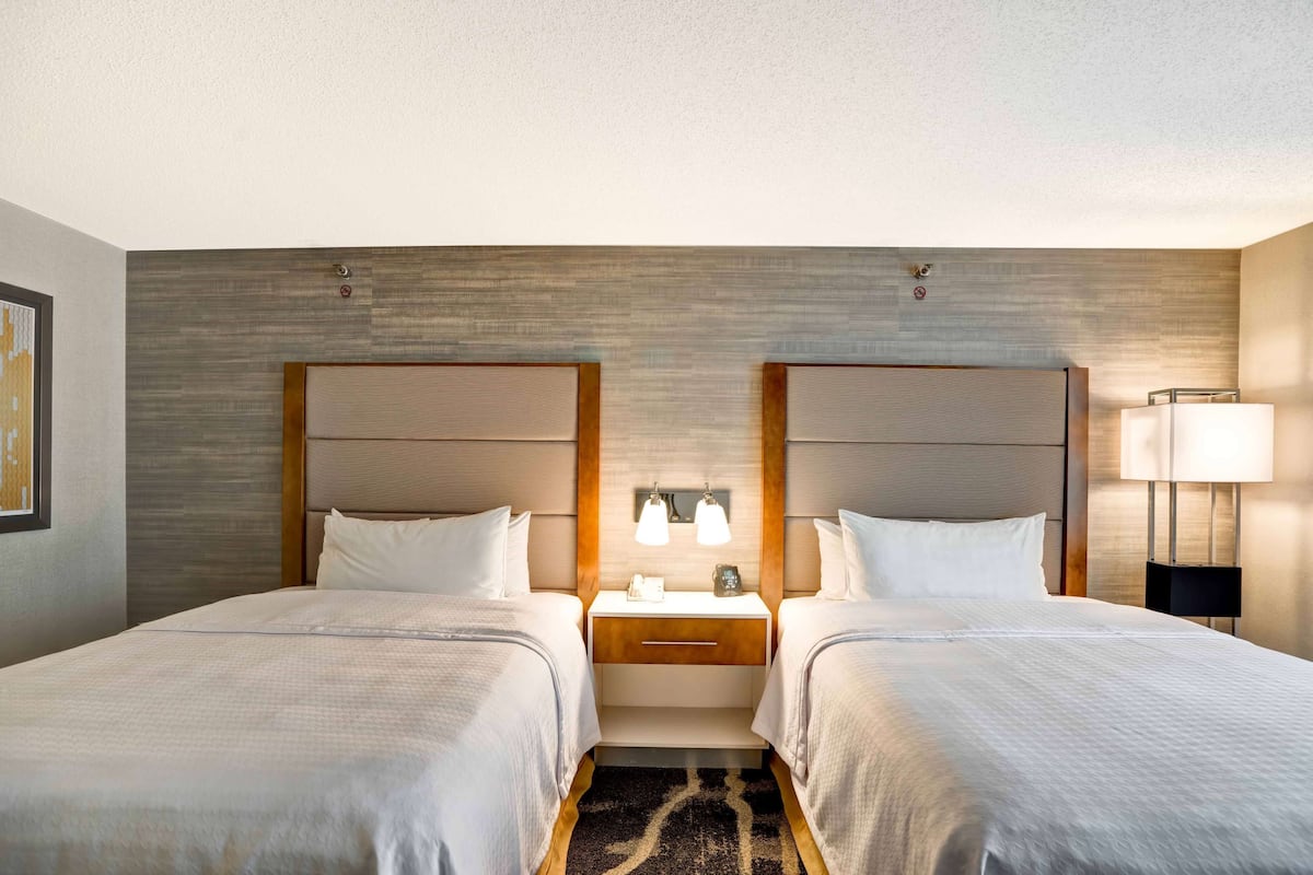 hypo-allergenic bedding, iron/ironing board, free wifi, bed sheets