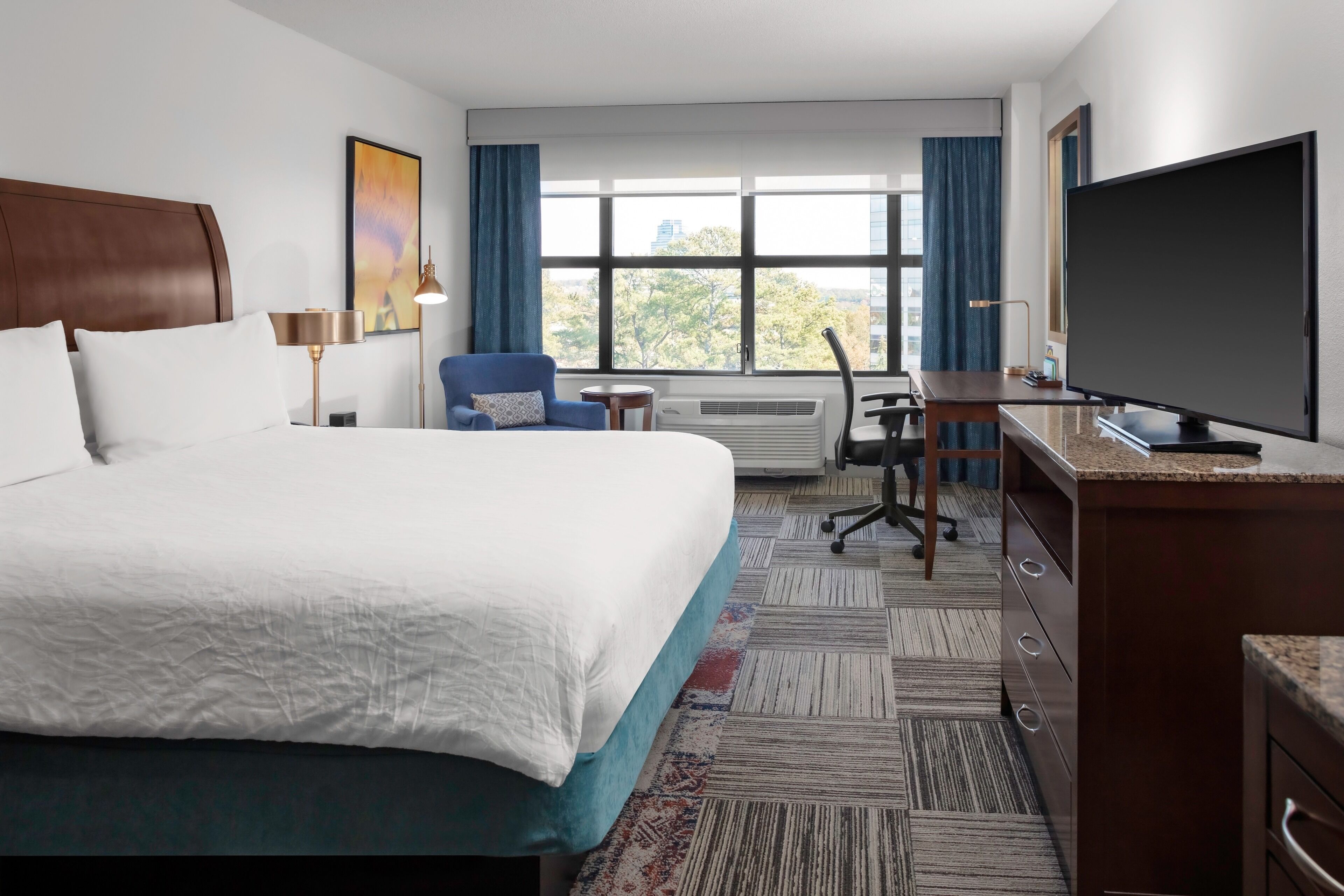 Photo - Hilton Garden Inn Atlanta Perimeter Center