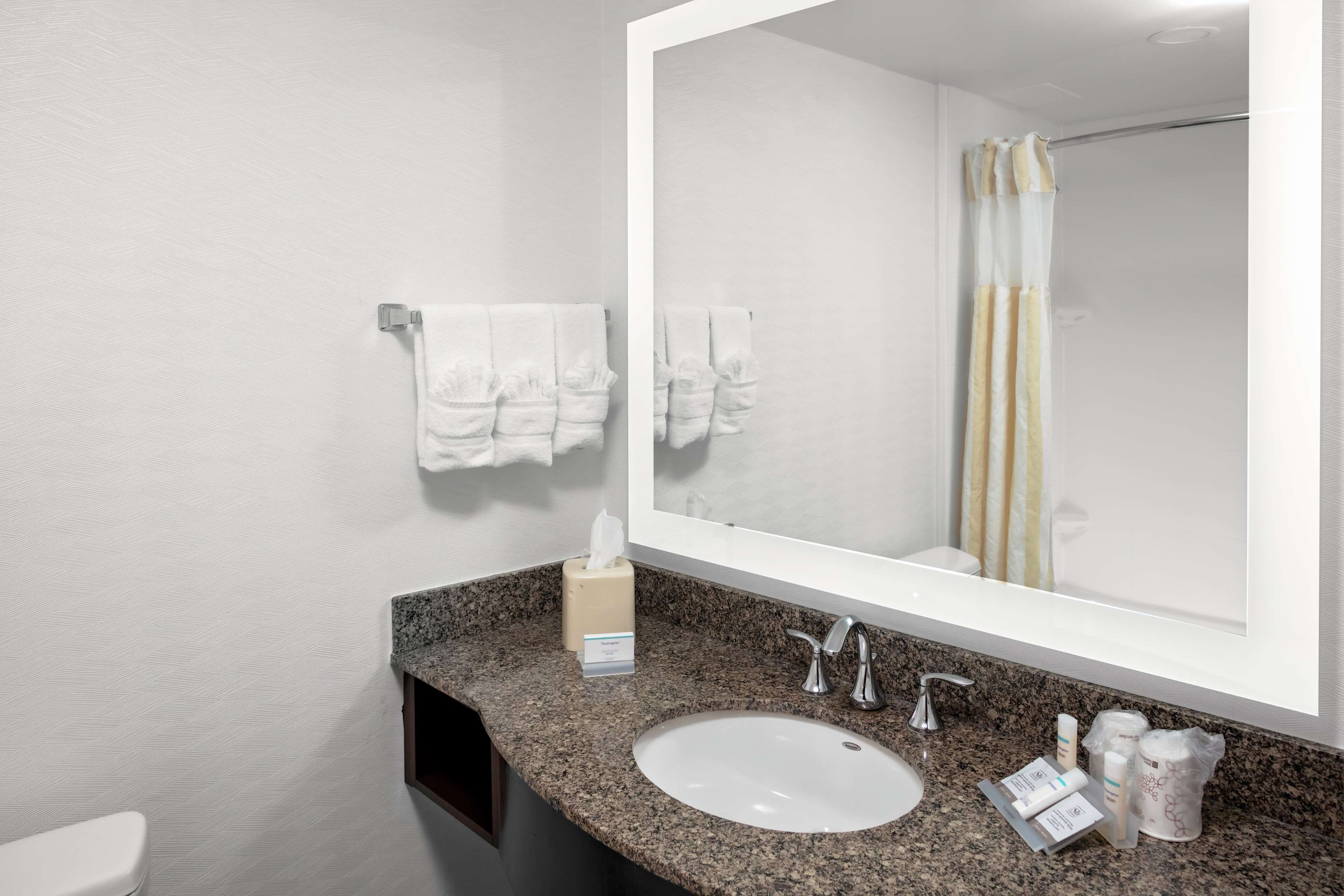 Photo - Hilton Garden Inn Atlanta Perimeter Center