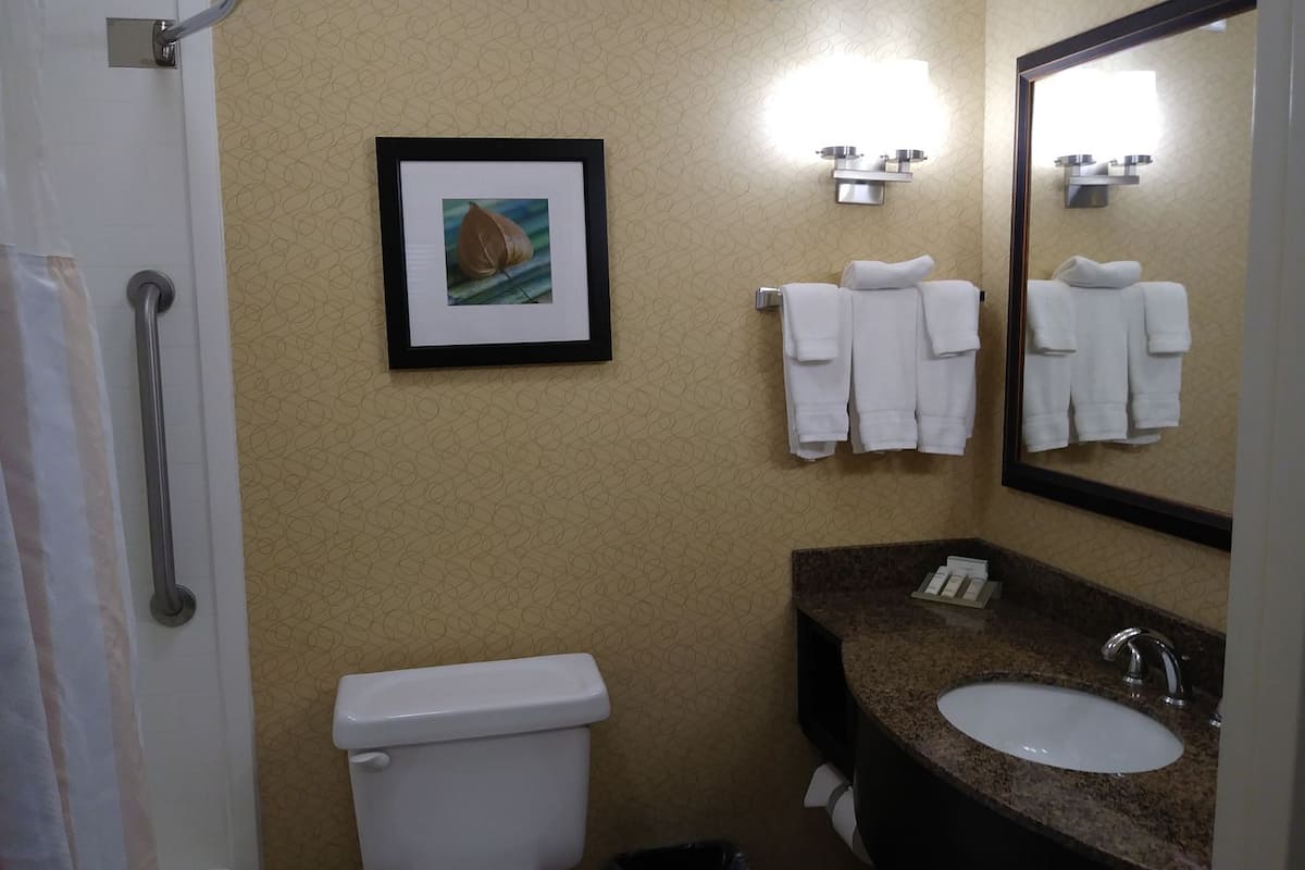 shower, free toiletries, hair dryer, towels