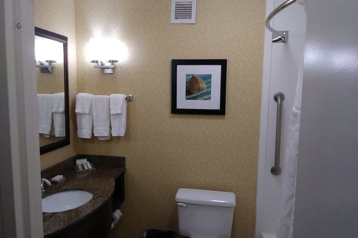 shower, free toiletries, hair dryer, towels