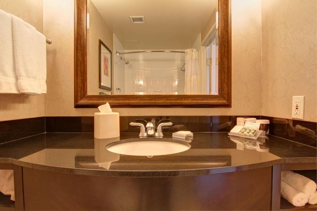 Bathroom | Combined shower/tub, free toiletries, hair dryer, towels