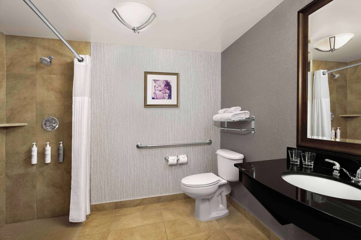 Un baño moderno con ducha, inodoro y lavabo.