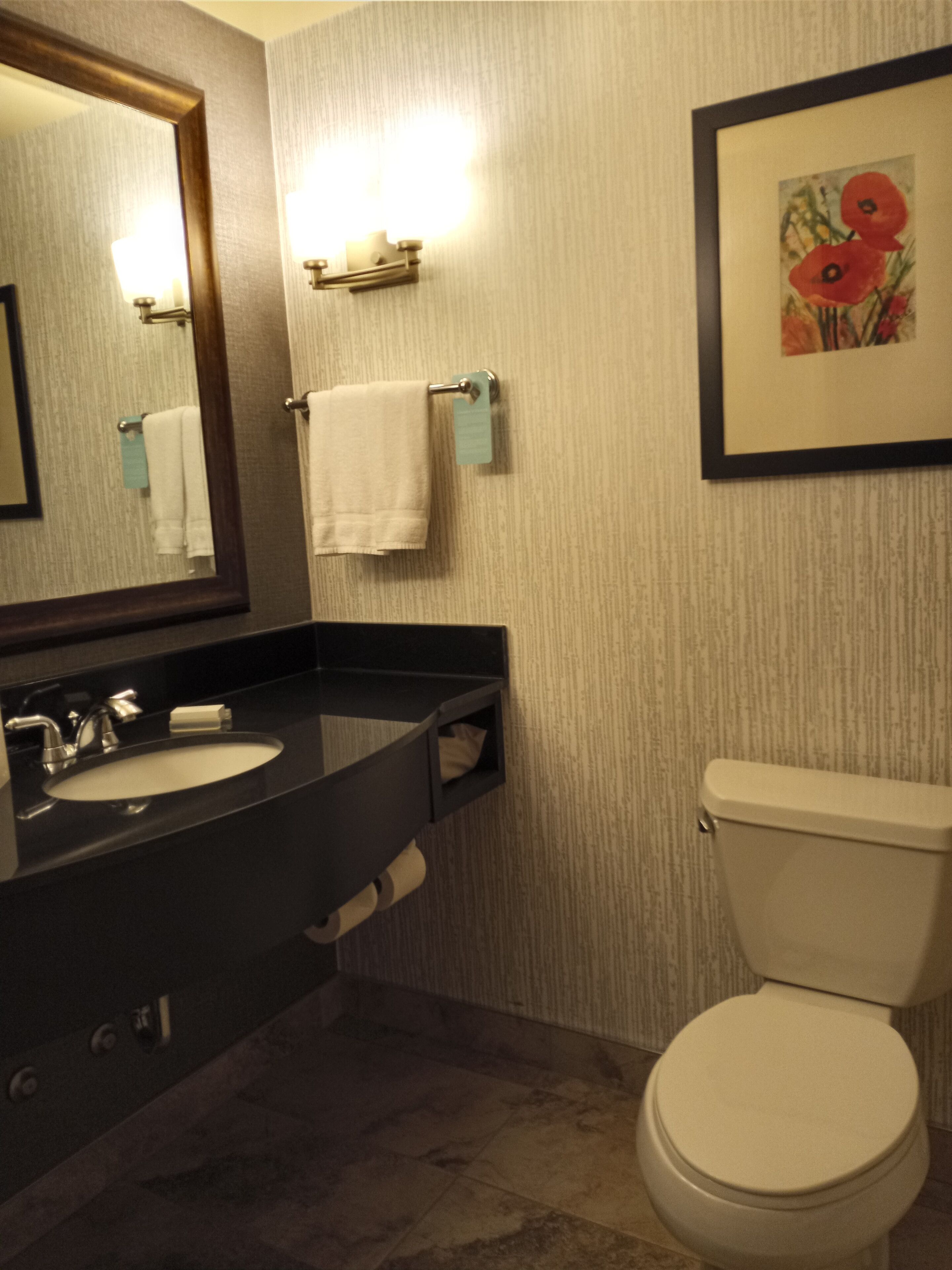 combined shower/bathtub, free toiletries, hair dryer, towels