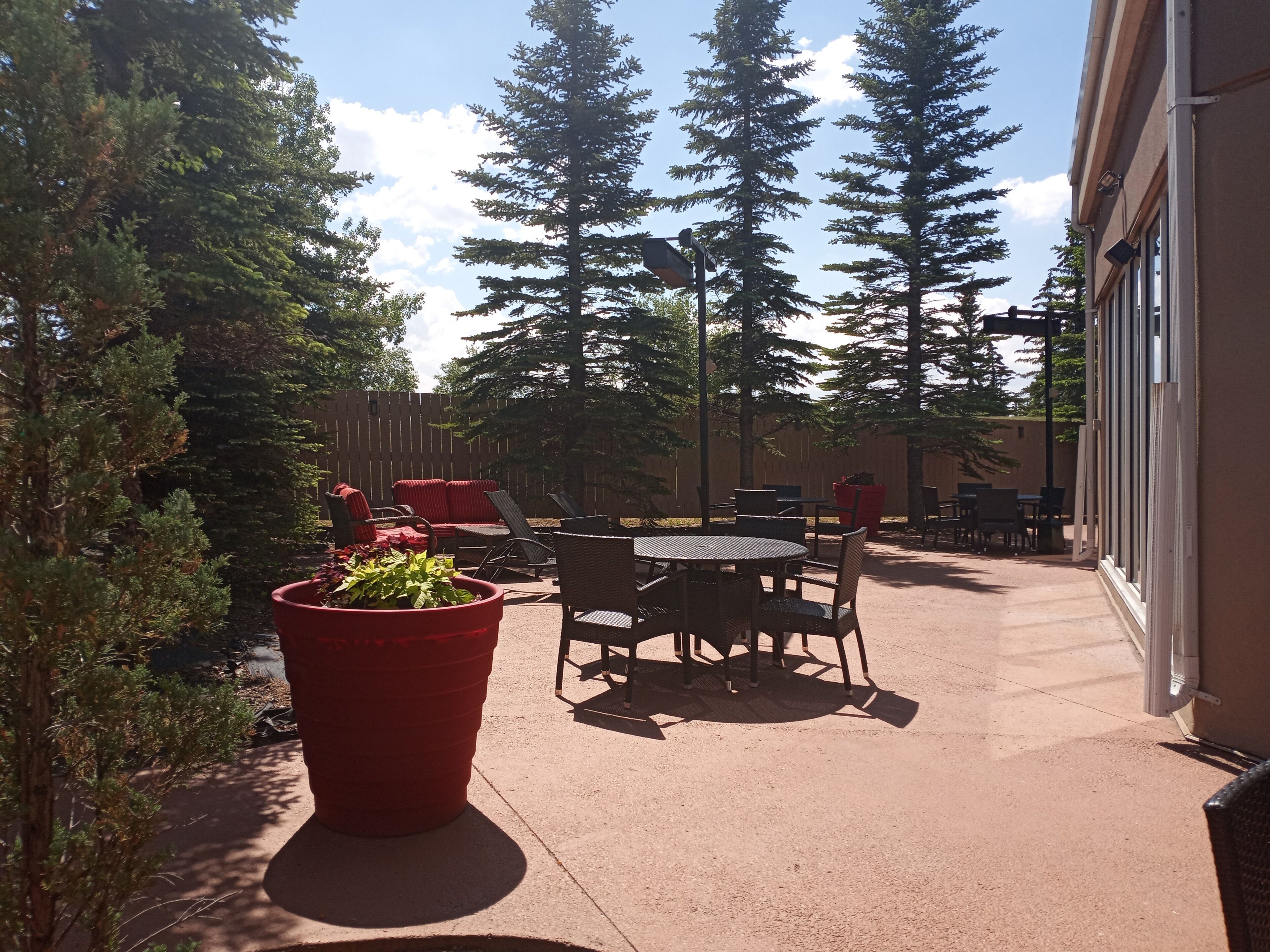 An outdoor patio with tables and chairs, surrounded by tall trees and a building with large windows.