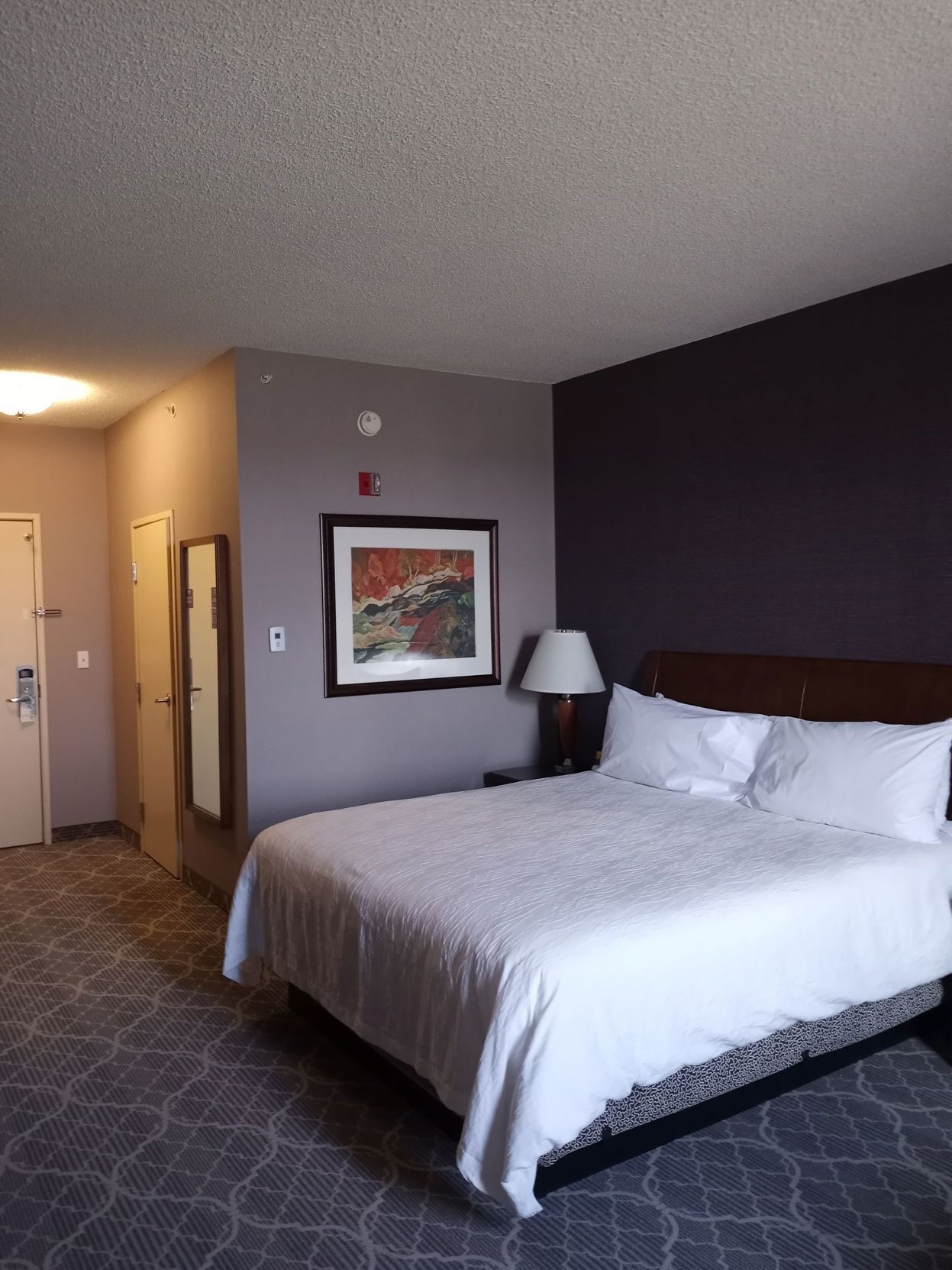 Premium bedding, down comforters, desk, blackout drapes