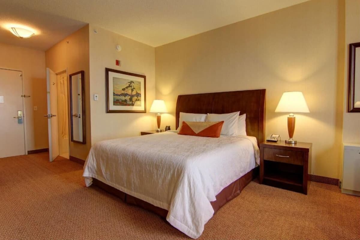 Habitación de hotel con una cama grande, dos mesitas de noche con lámparas, una puerta y un cuadro enmarcado en la pared.