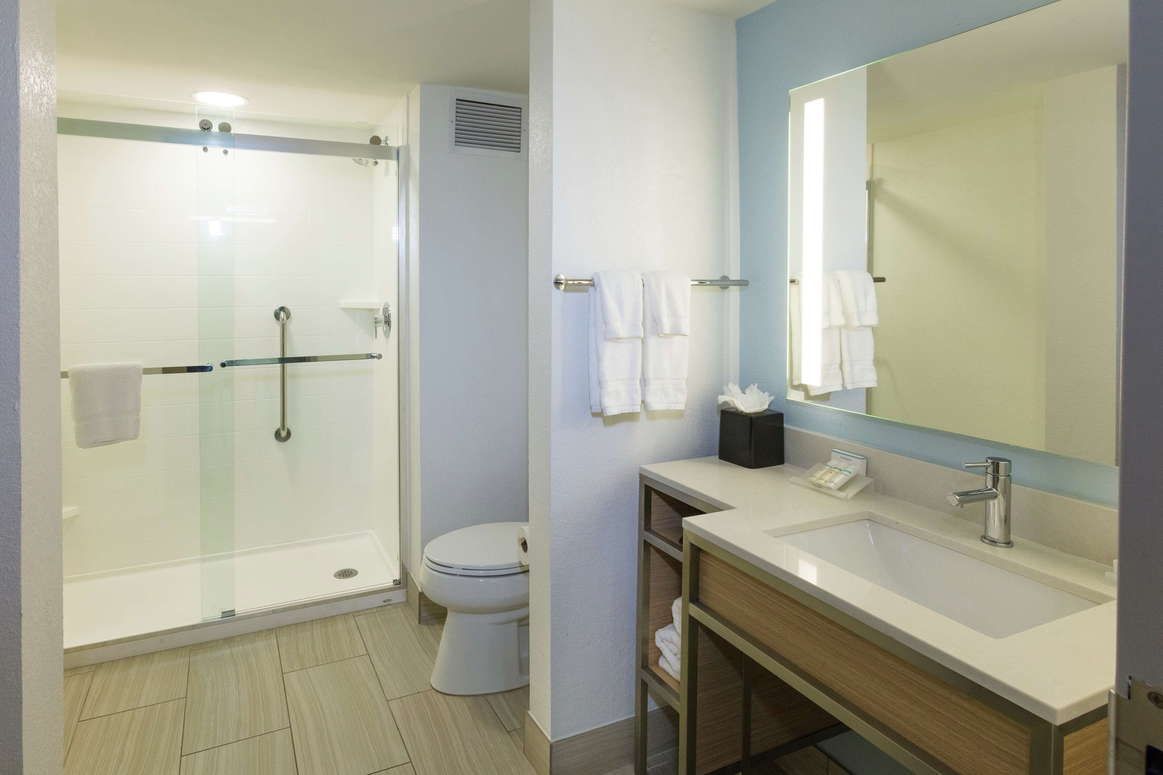 suite, 1 king bed with sofa bed | bathroom shower