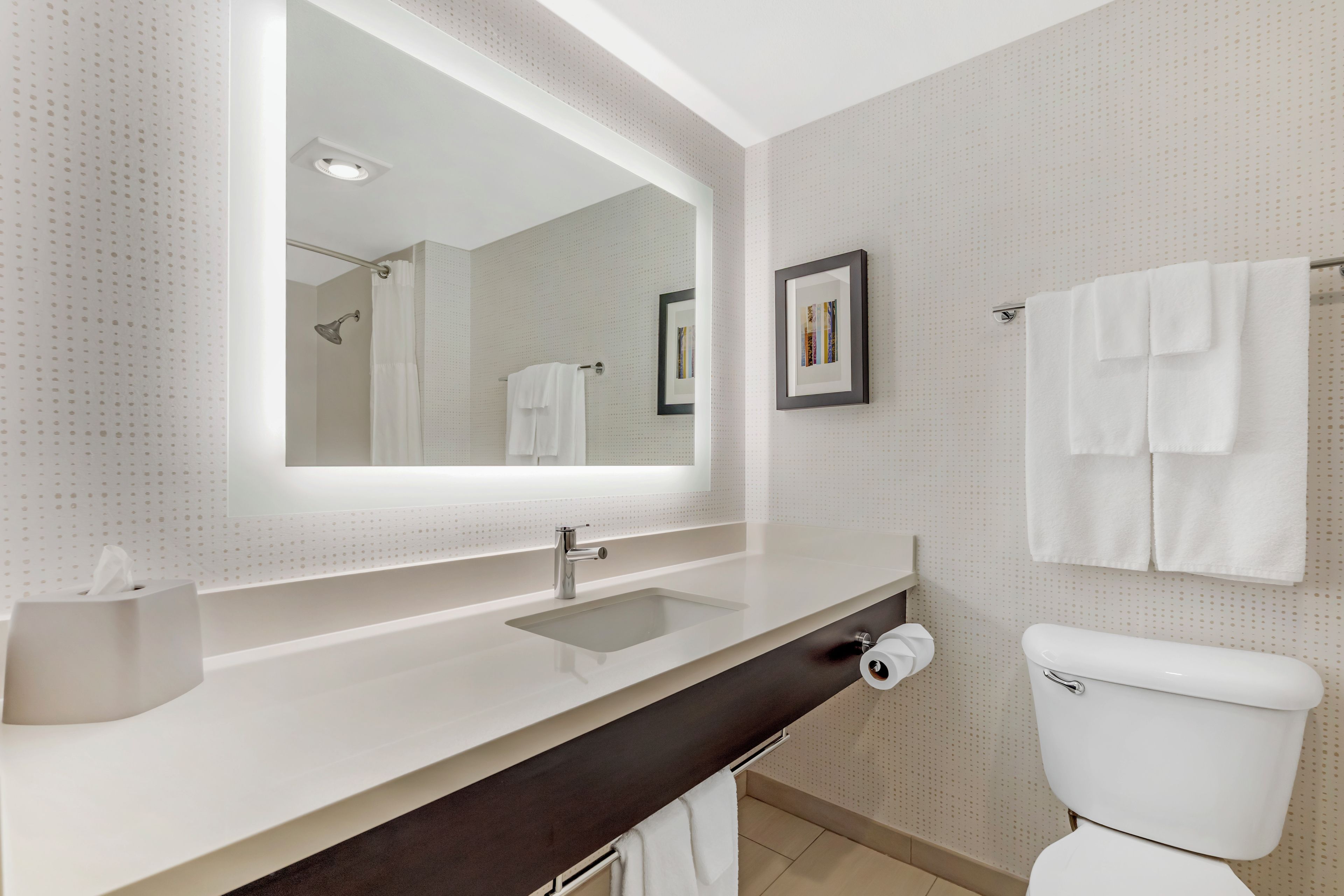 A bathroom with a white sink, a mirror, a toilet, and a shower.