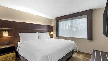 A hotel room with a large bed, bedside tables, a window with a view, and a flat-screen TV.