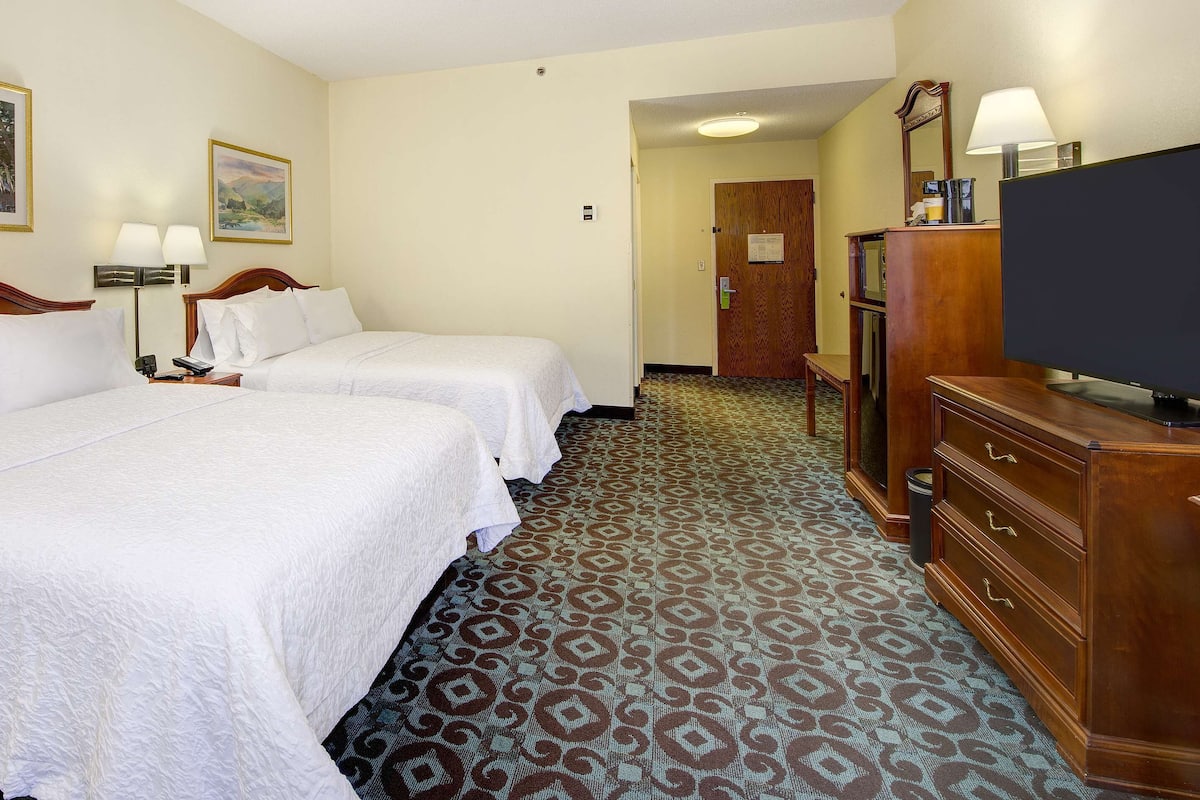 A hotel room with two beds, a desk, a television, and a patterned carpet.