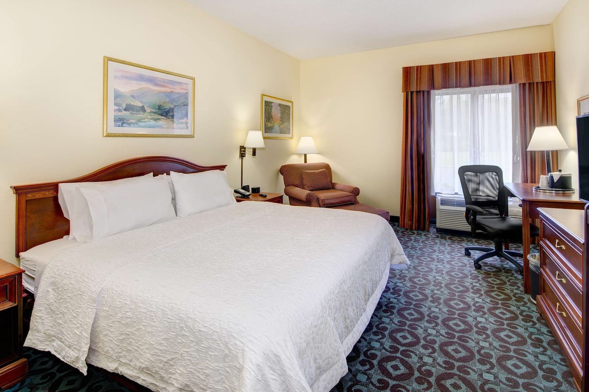 A hotel room with a large bed, a desk with a television, a chair, and two lamps.