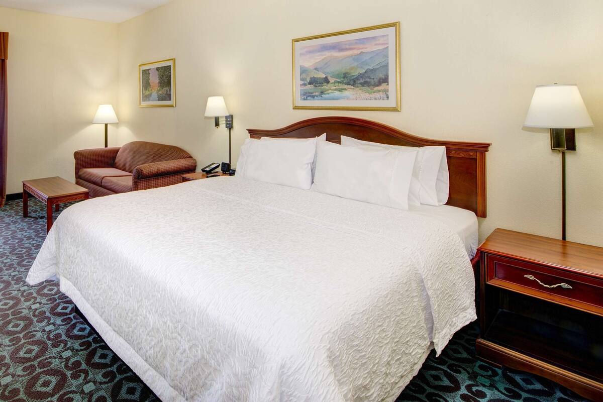 A hotel room with a large bed, a desk with a flat-screen TV, a chair, a desk lamp, and a painting on the wall.