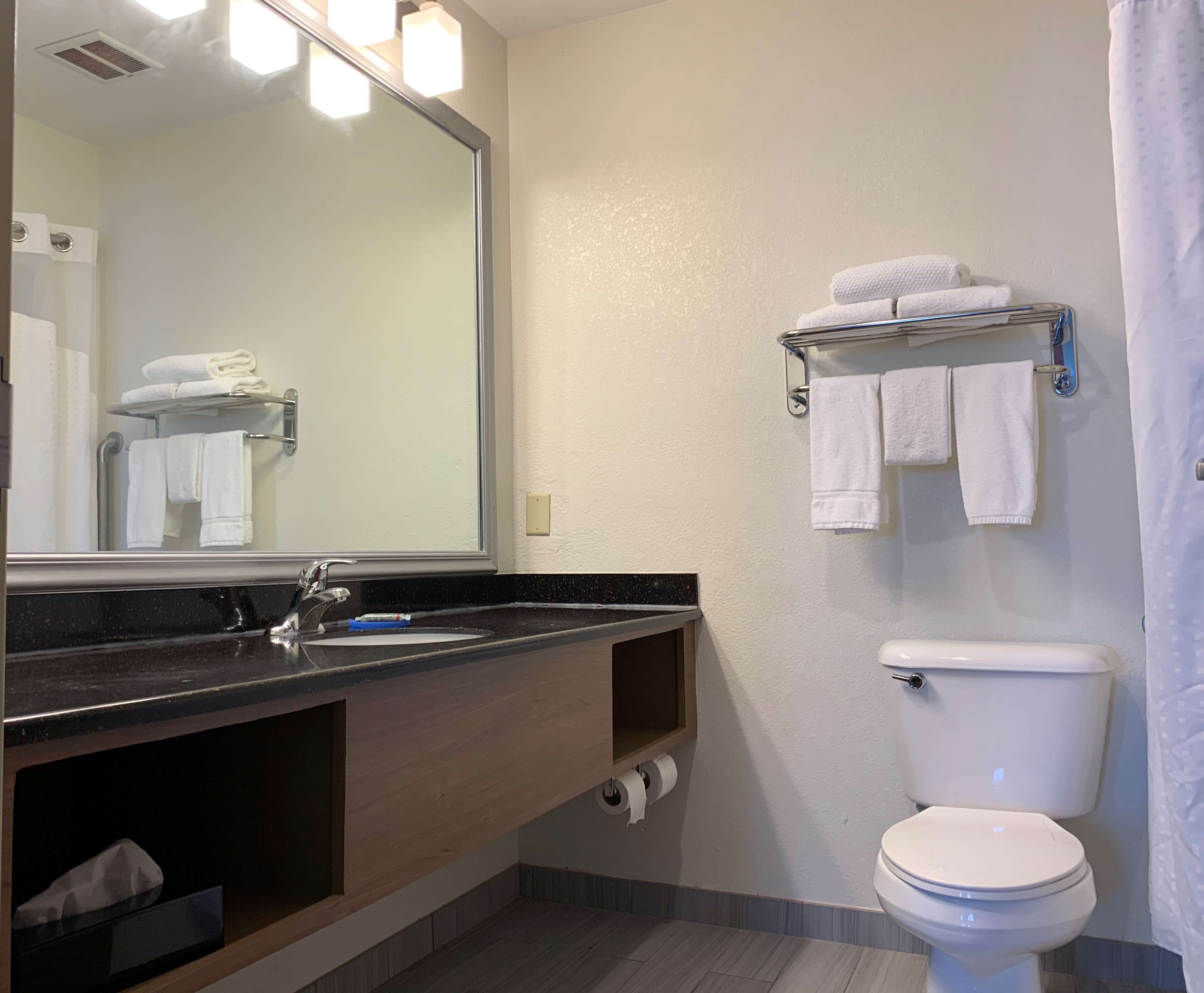 Un baño con lavamanos, espejo, toallero, inodoro y cortina de ducha.