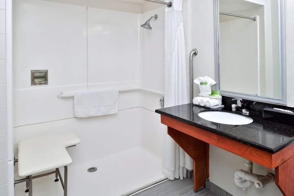Bathroom | Combined shower/tub, free toiletries, hair dryer, towels