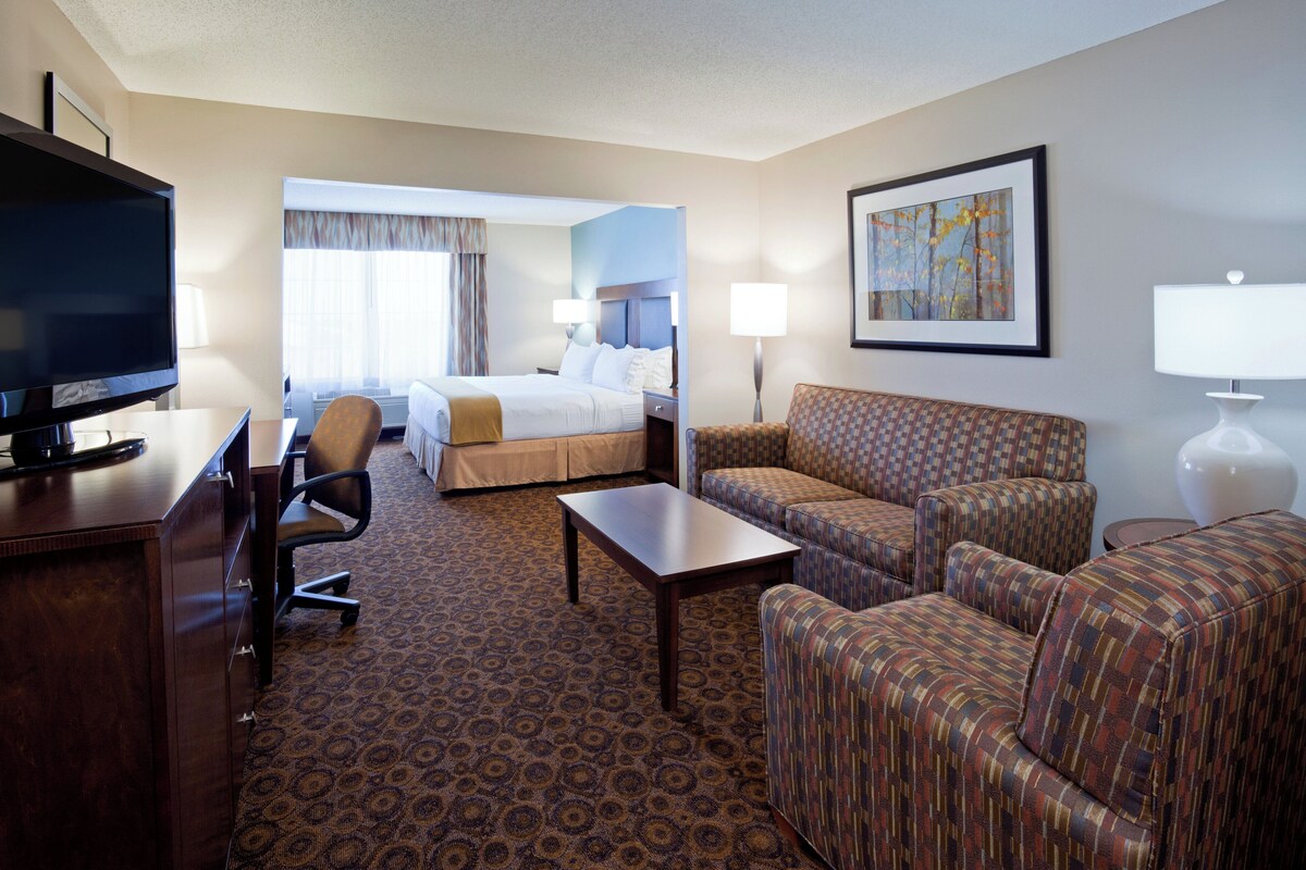 Suite, 1 King Bed with Sofa bed