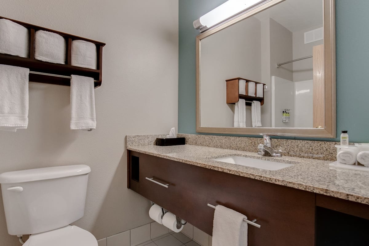 combined shower/bathtub, hair dryer, towels