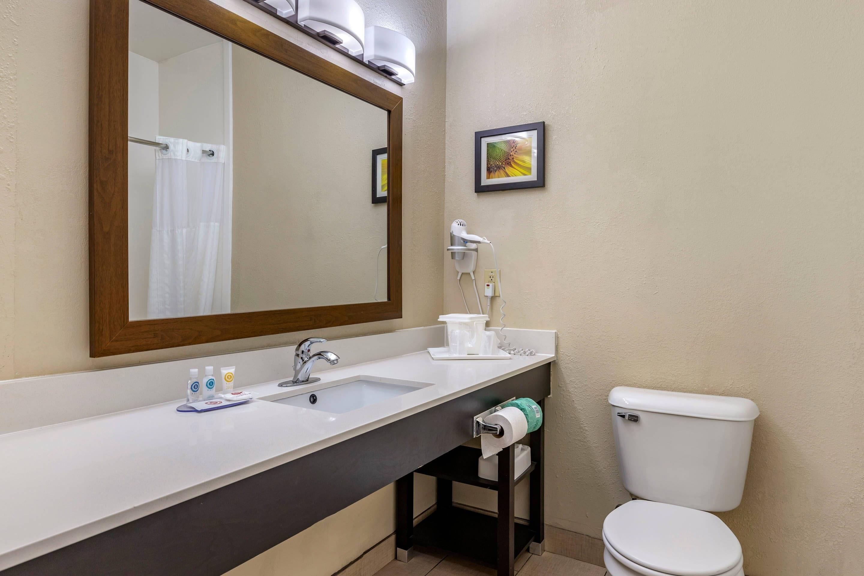A bathroom with a sink, mirror, toilet, and a small shelf with toiletries.