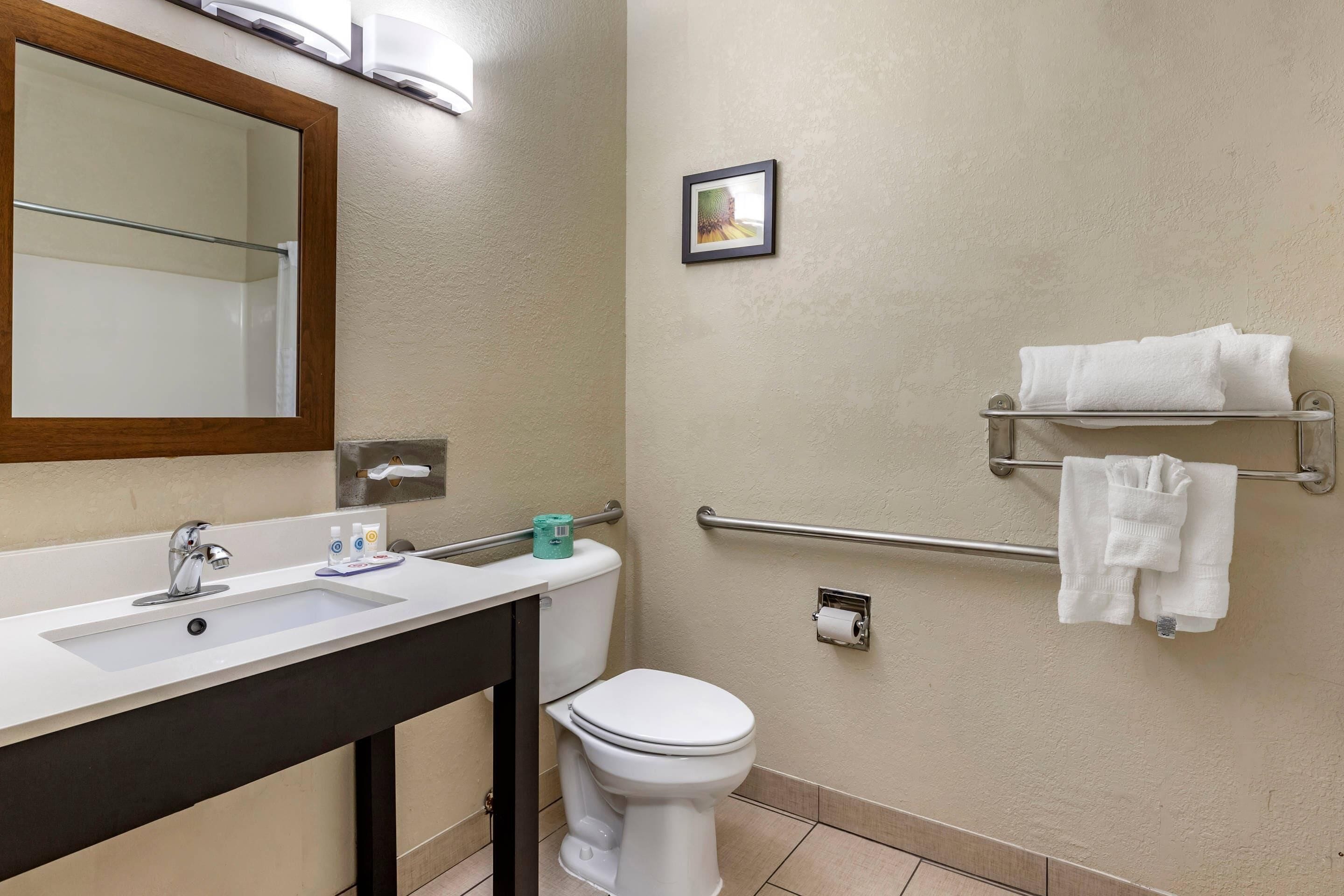 A bathroom with a sink, mirror, toilet, towel rack, and handrail.
