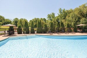 Une piscine entourée d’arbres, avec des chaises longues et des parasols.