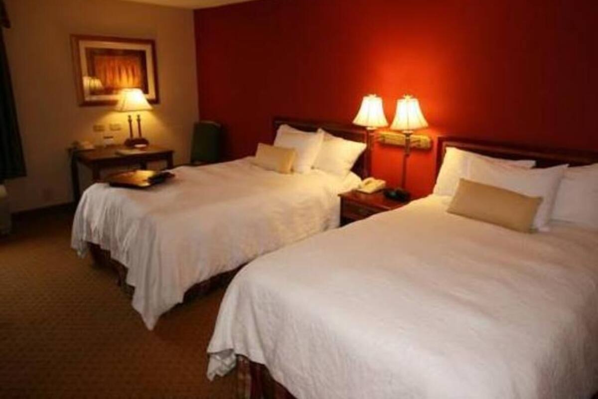 A hotel room with two beds, a nightstand with a lamp, and a framed picture on the wall.