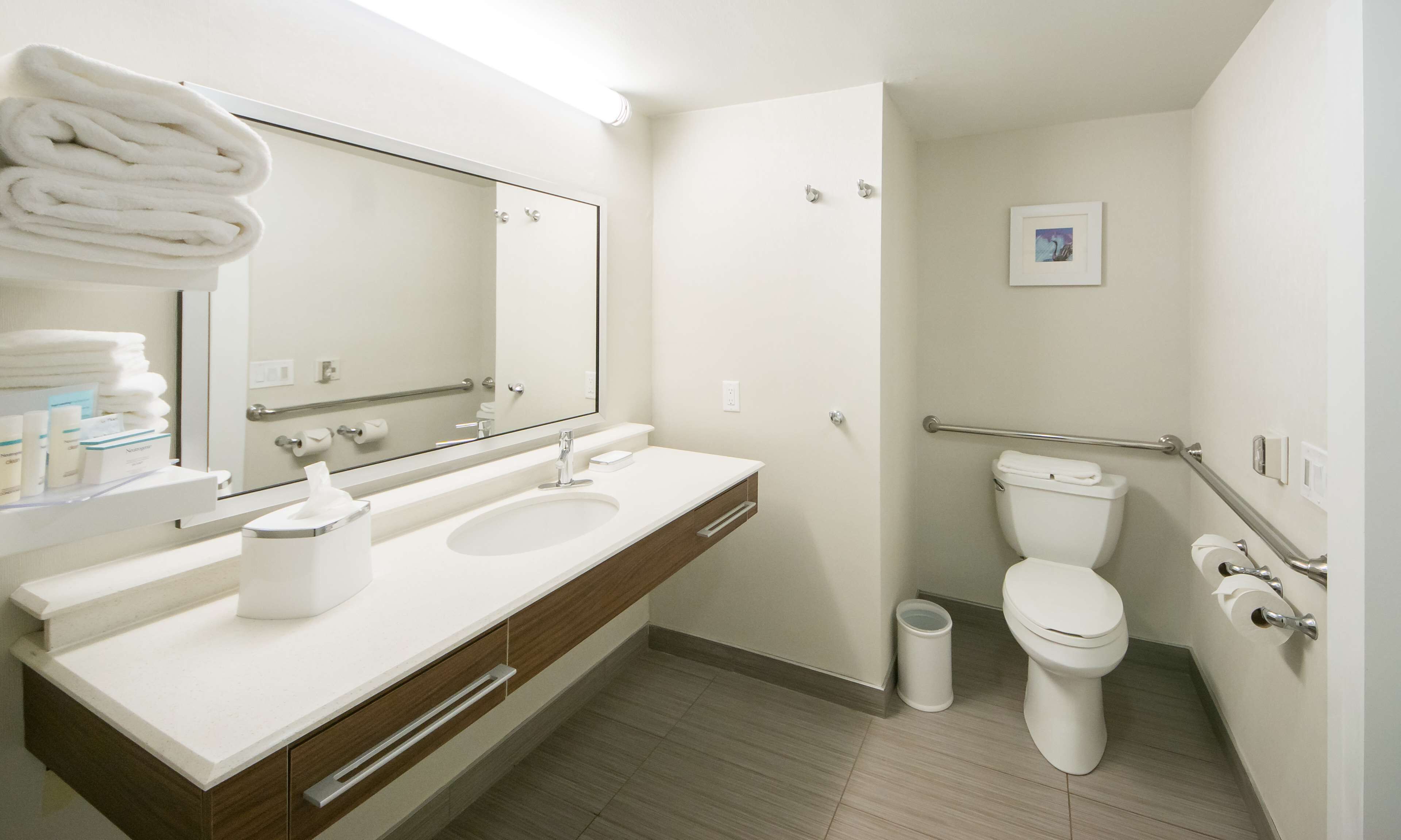 room, accessible, non smoking (roll-in shower) | bathroom | hydromassage showerhead, free toiletries, hair dryer, towels