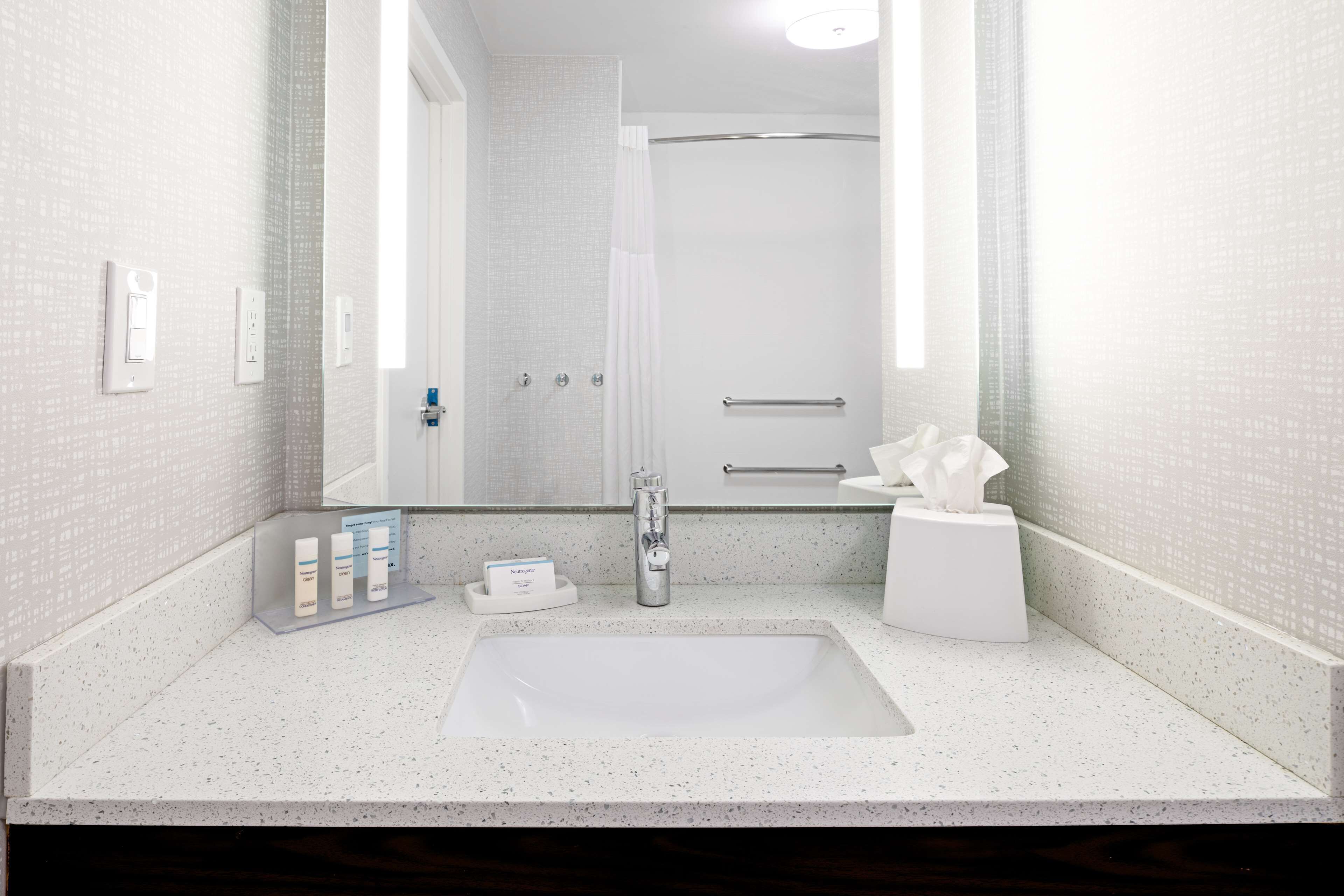 standard room, 1 king bed, accessible (mobility accessible) | bathroom | free toiletries, hair dryer, towels, soap